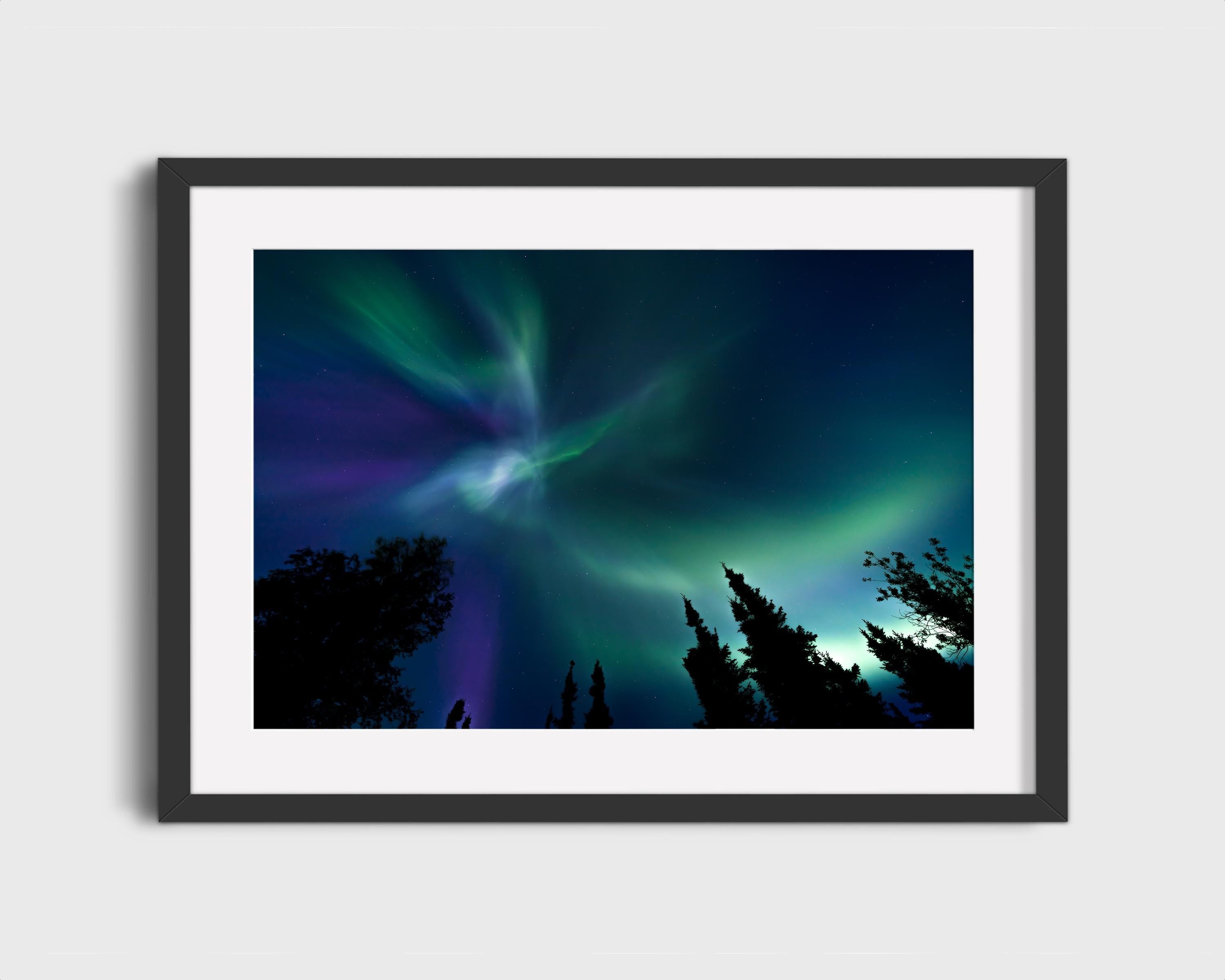 Alaskan Nights