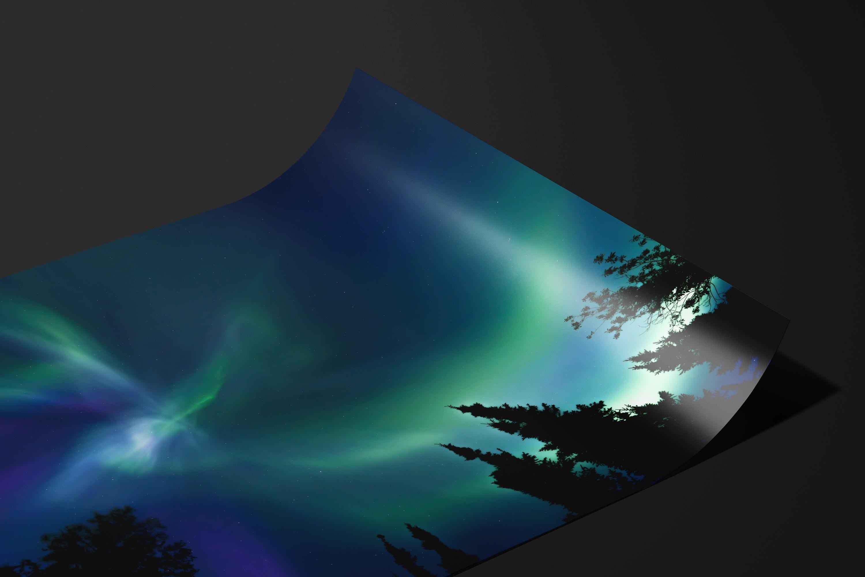 Alaskan Nights