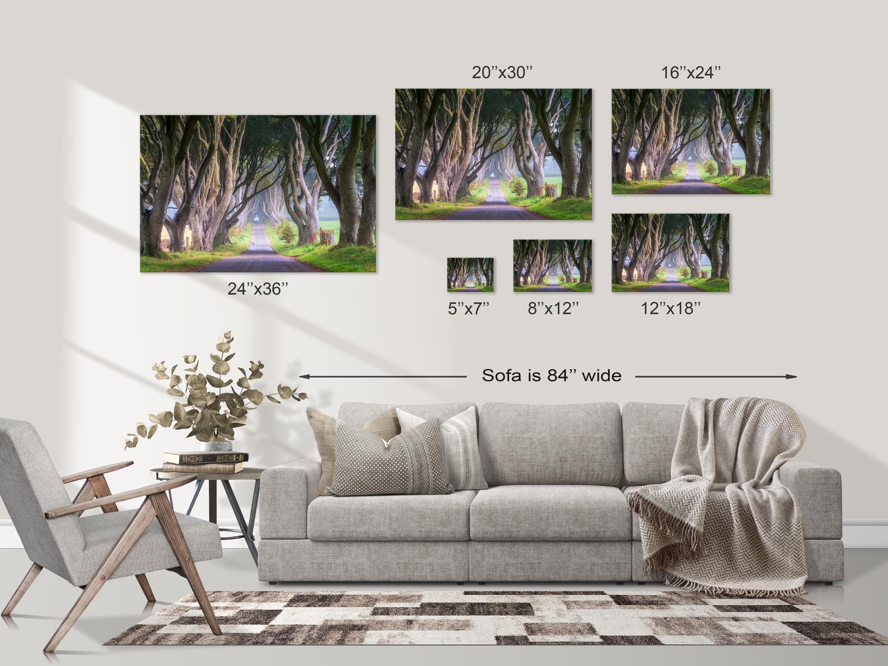 Dark Hedges Tree Tunnel