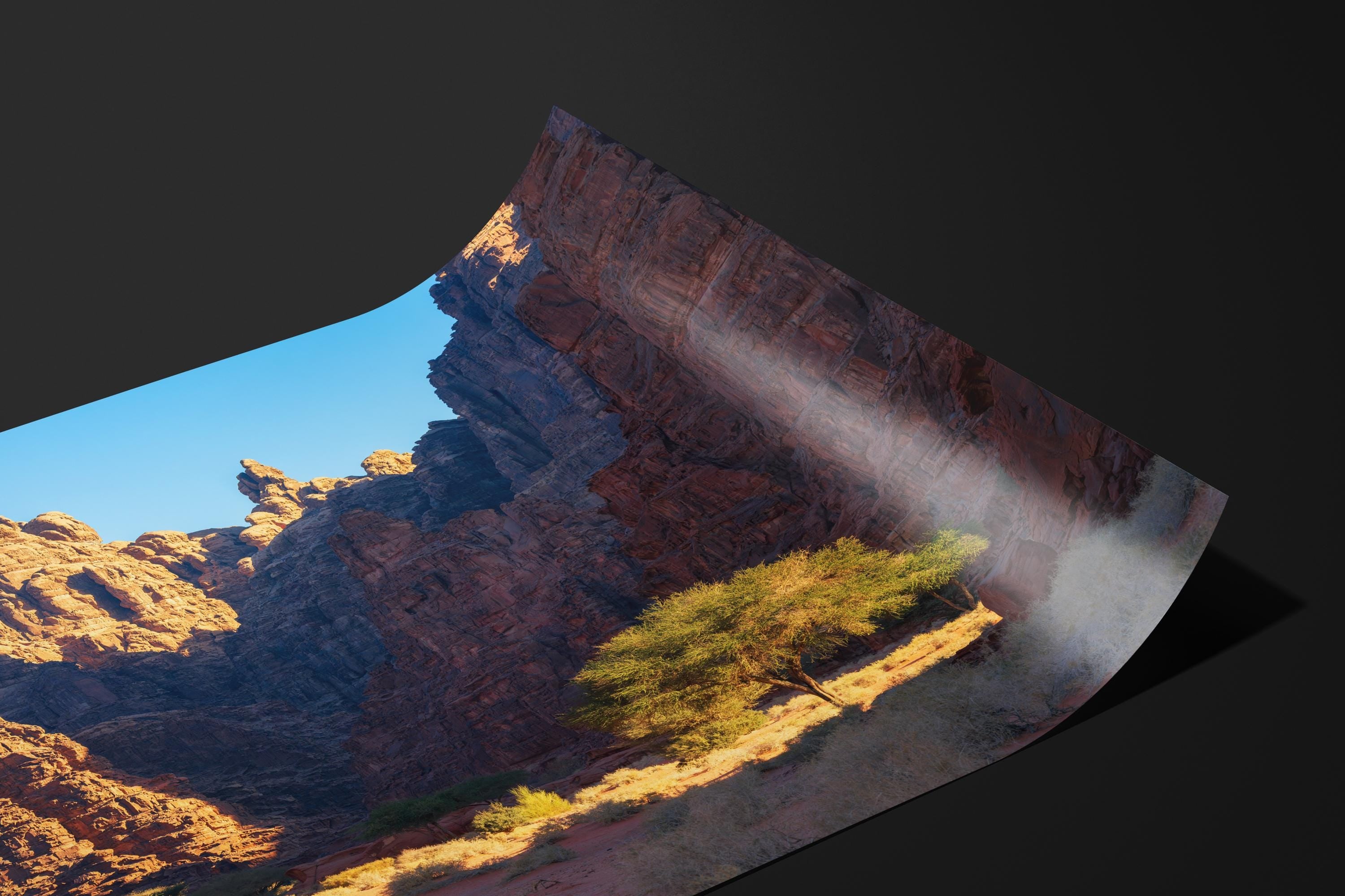 Desert Canyon Oasis