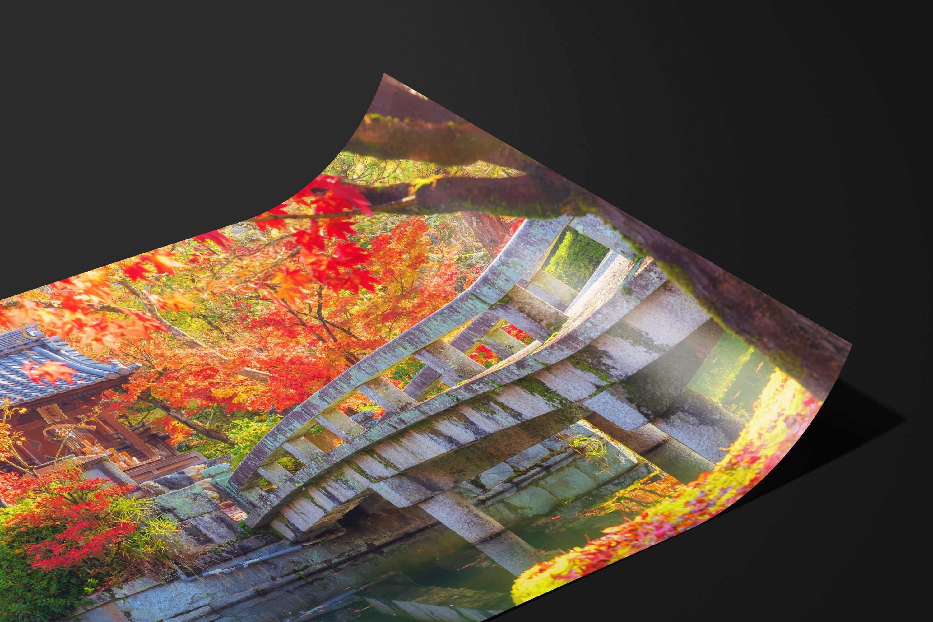 Japanese Garden Bridge in Autumn