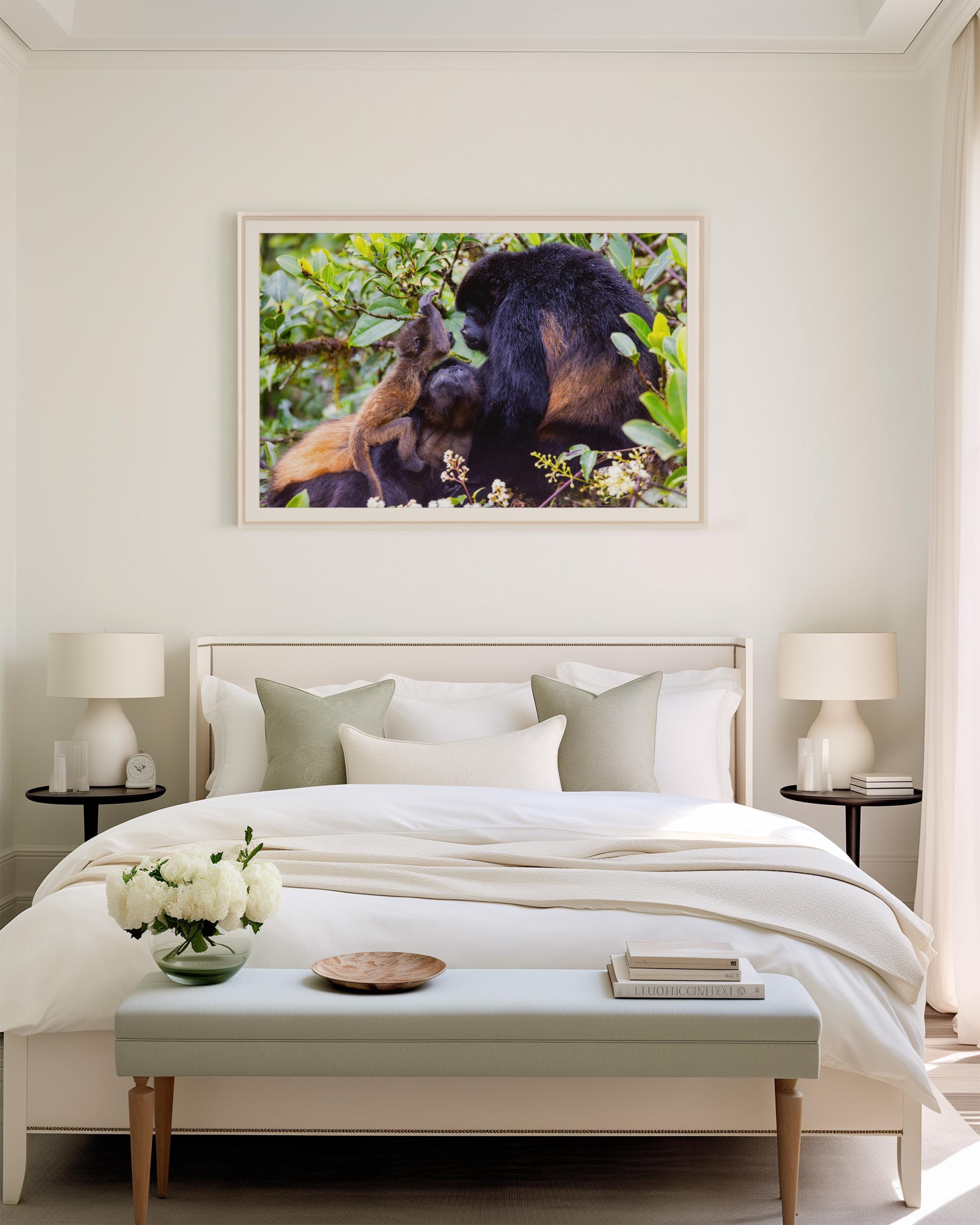 Howler Monkey Family
