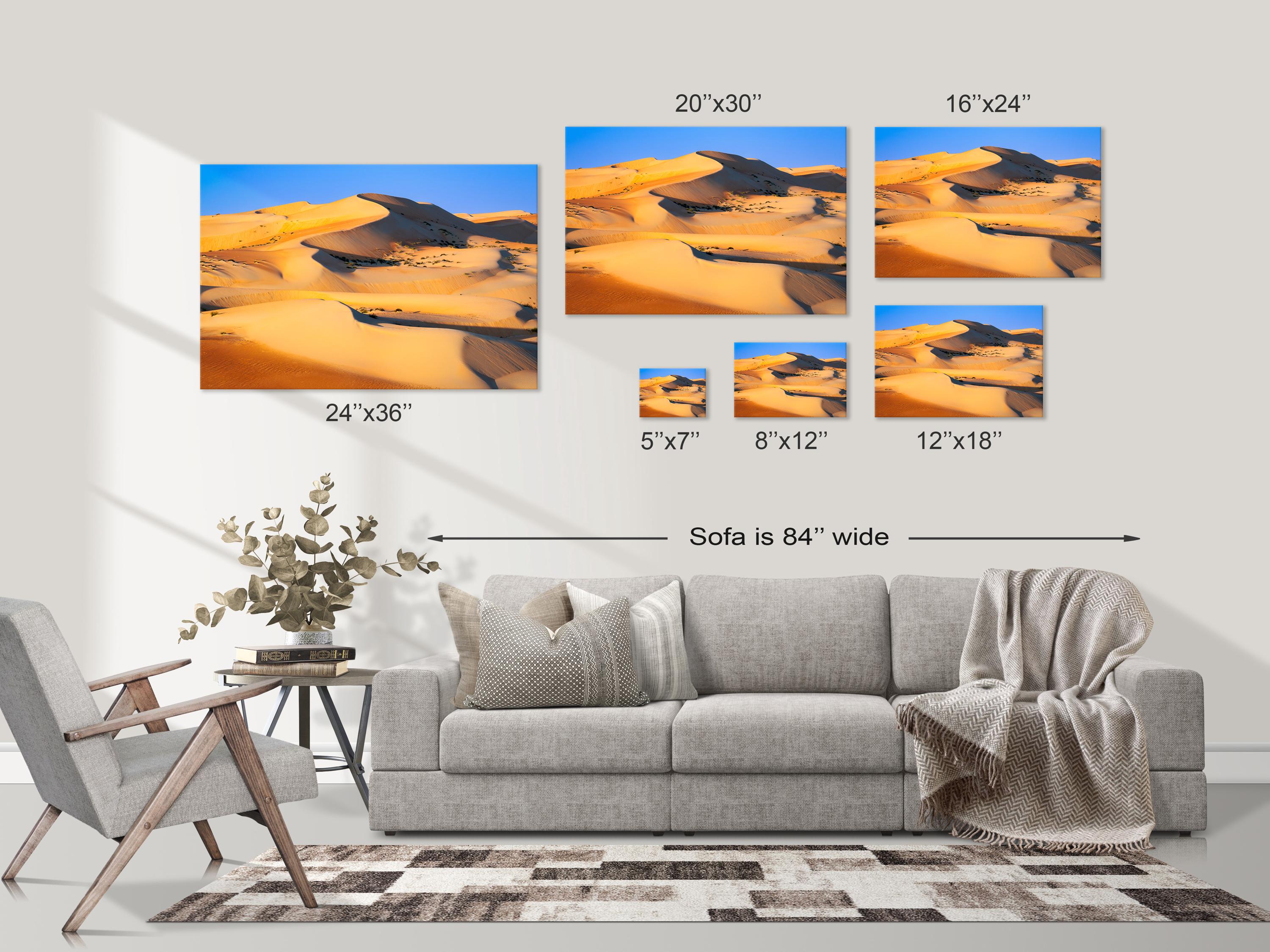 Golden Liwa Desert Dunes