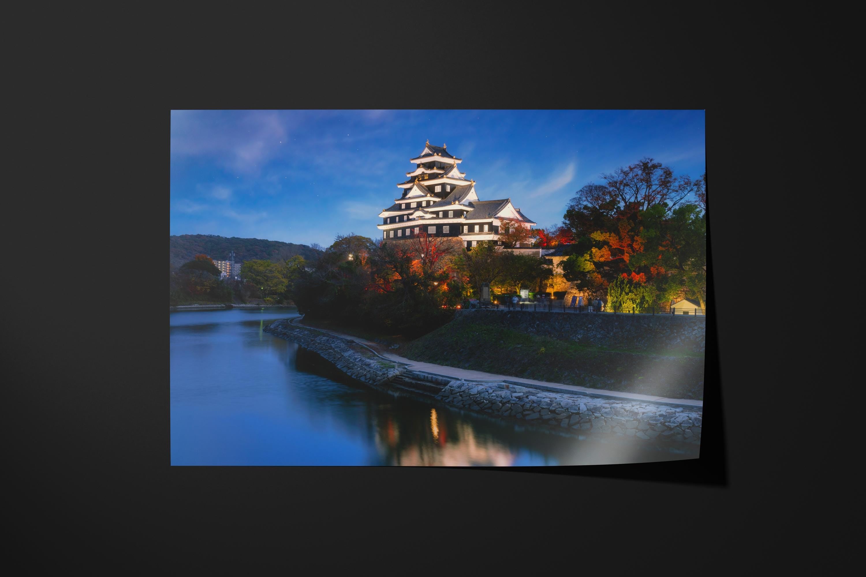 Okayama Castle at Dusk