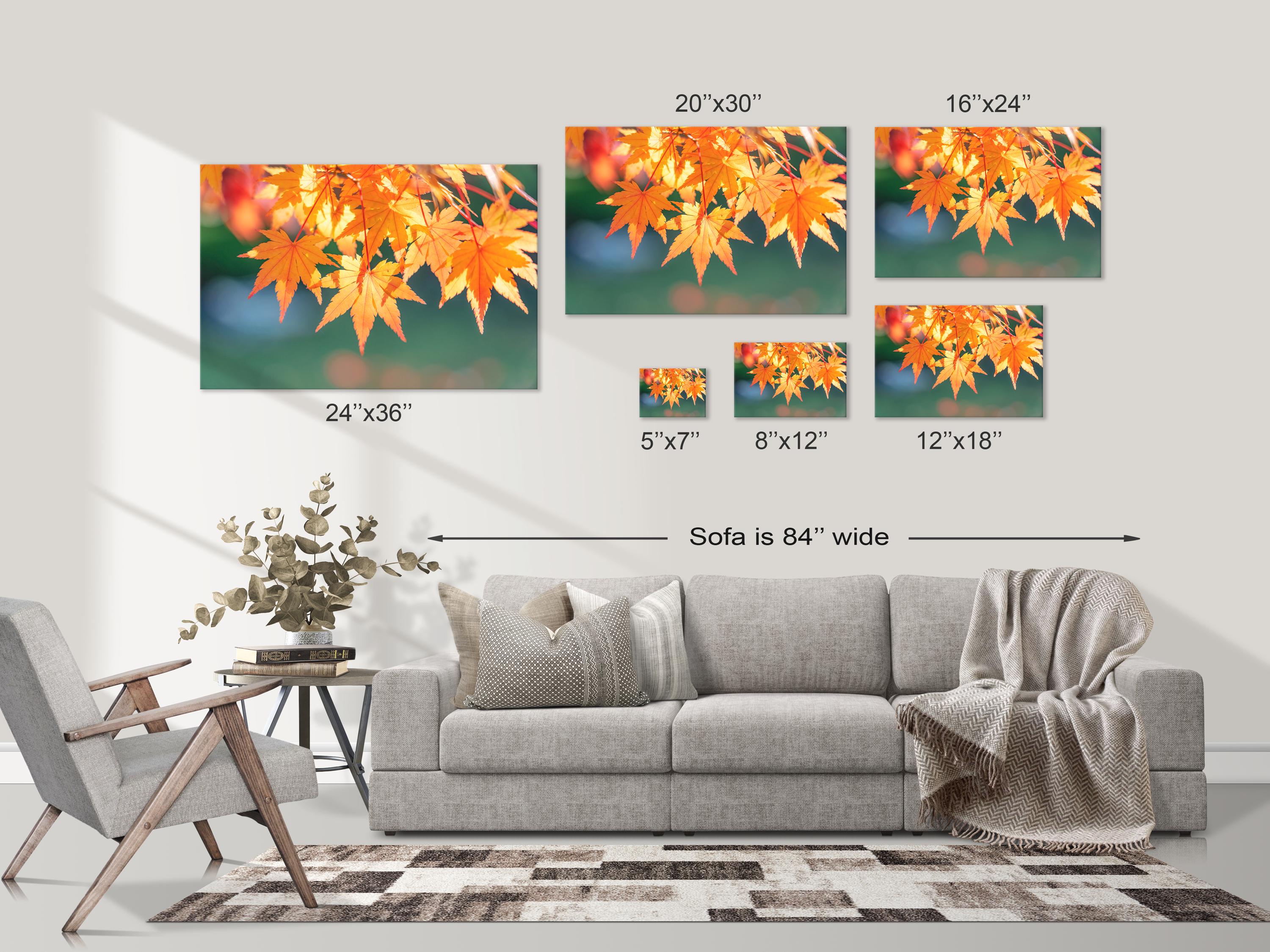 Golden Autumn Japanese Maple Leaves