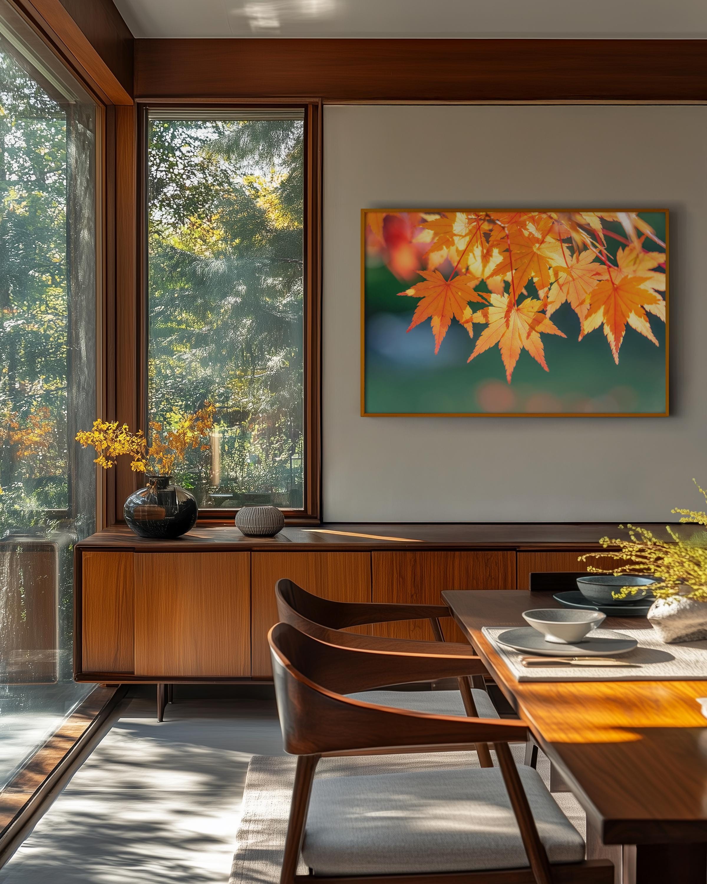 Golden Autumn Japanese Maple Leaves