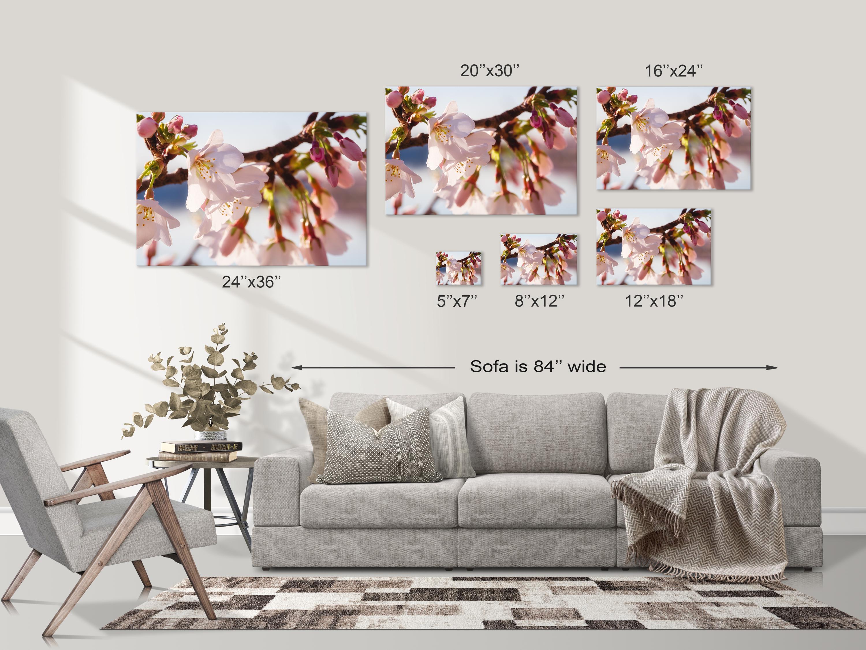 Cherry Blossom Soft Pink