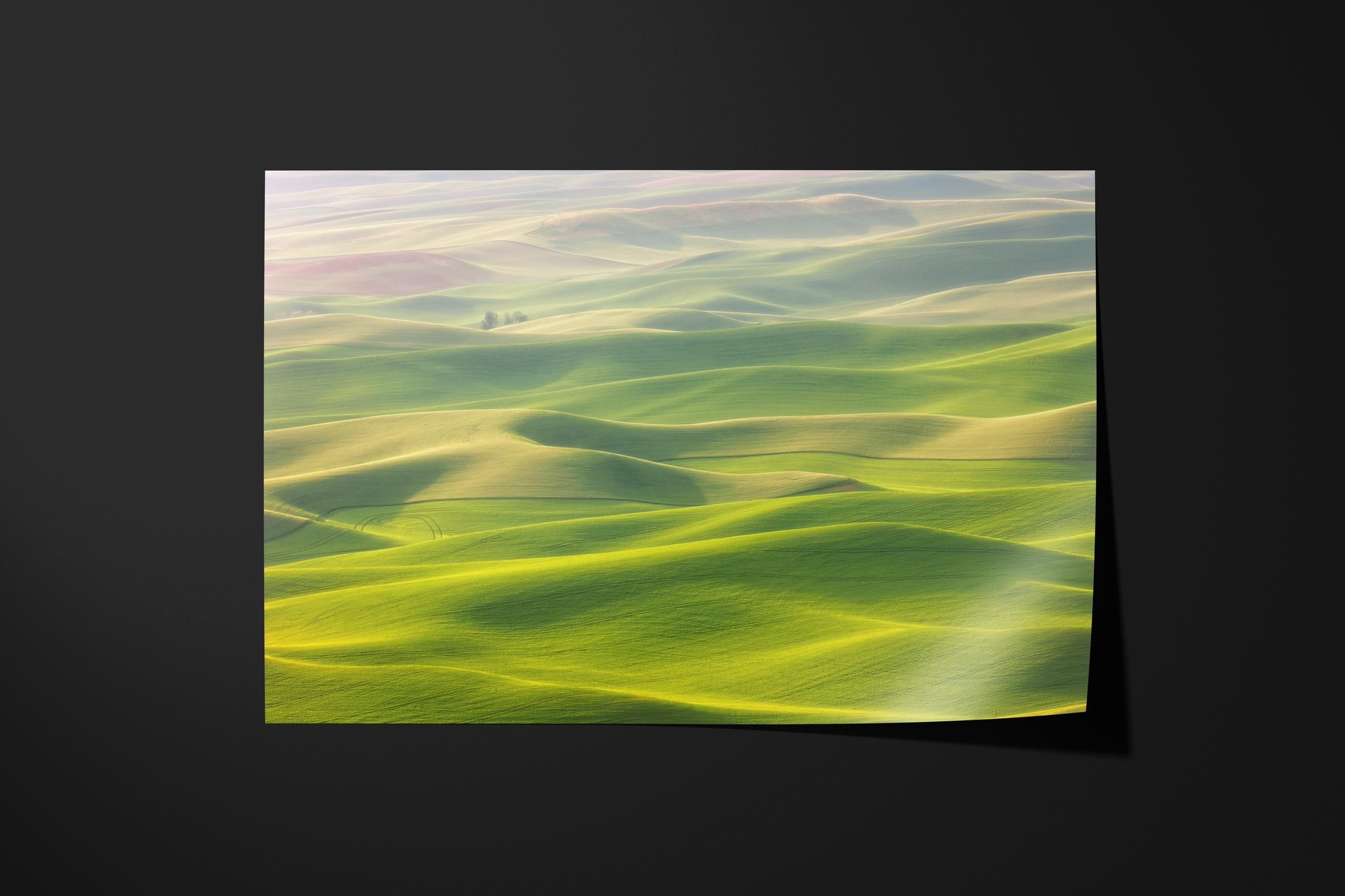 Rolling Hills Landscape