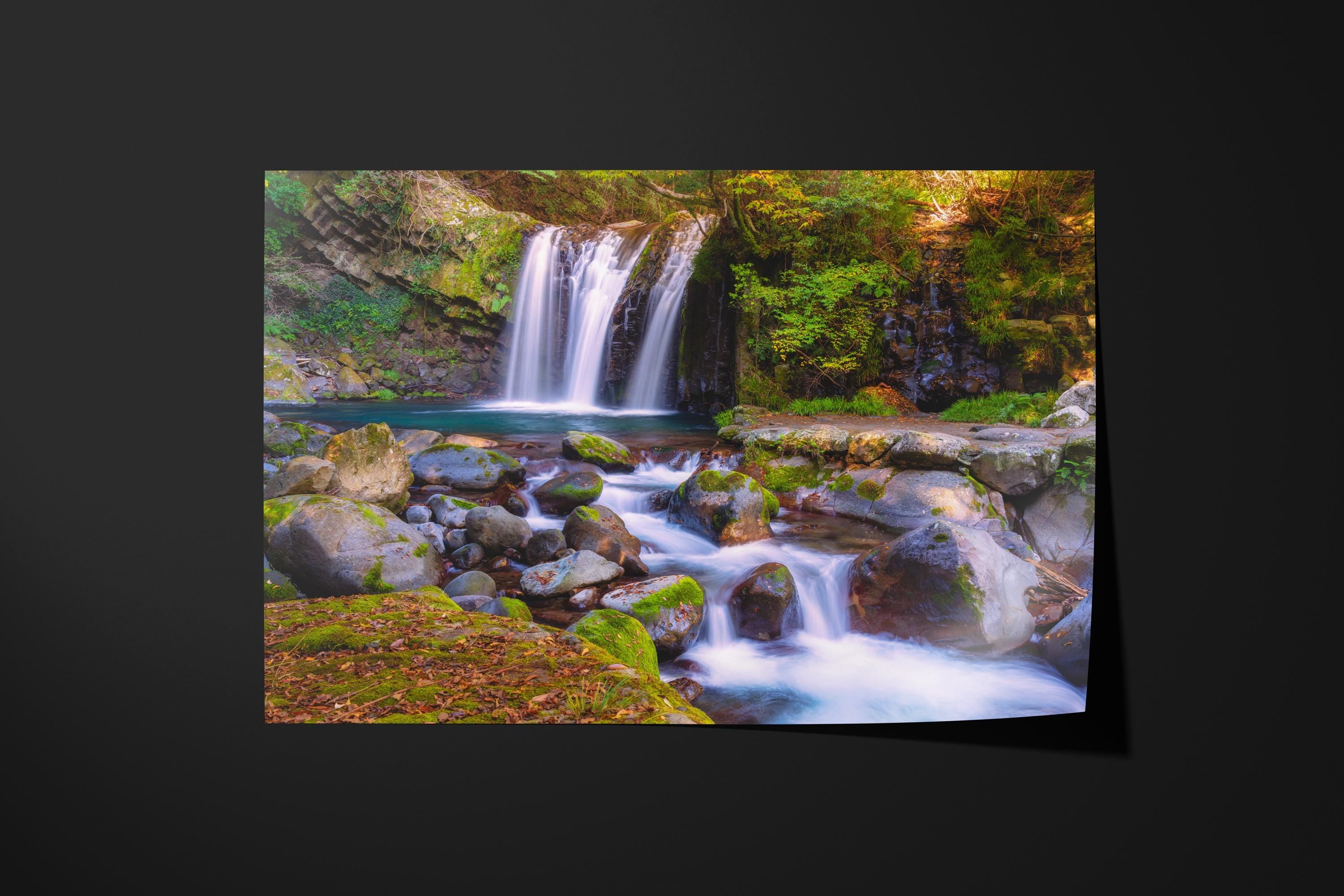 Tranquil Forest Waterfall