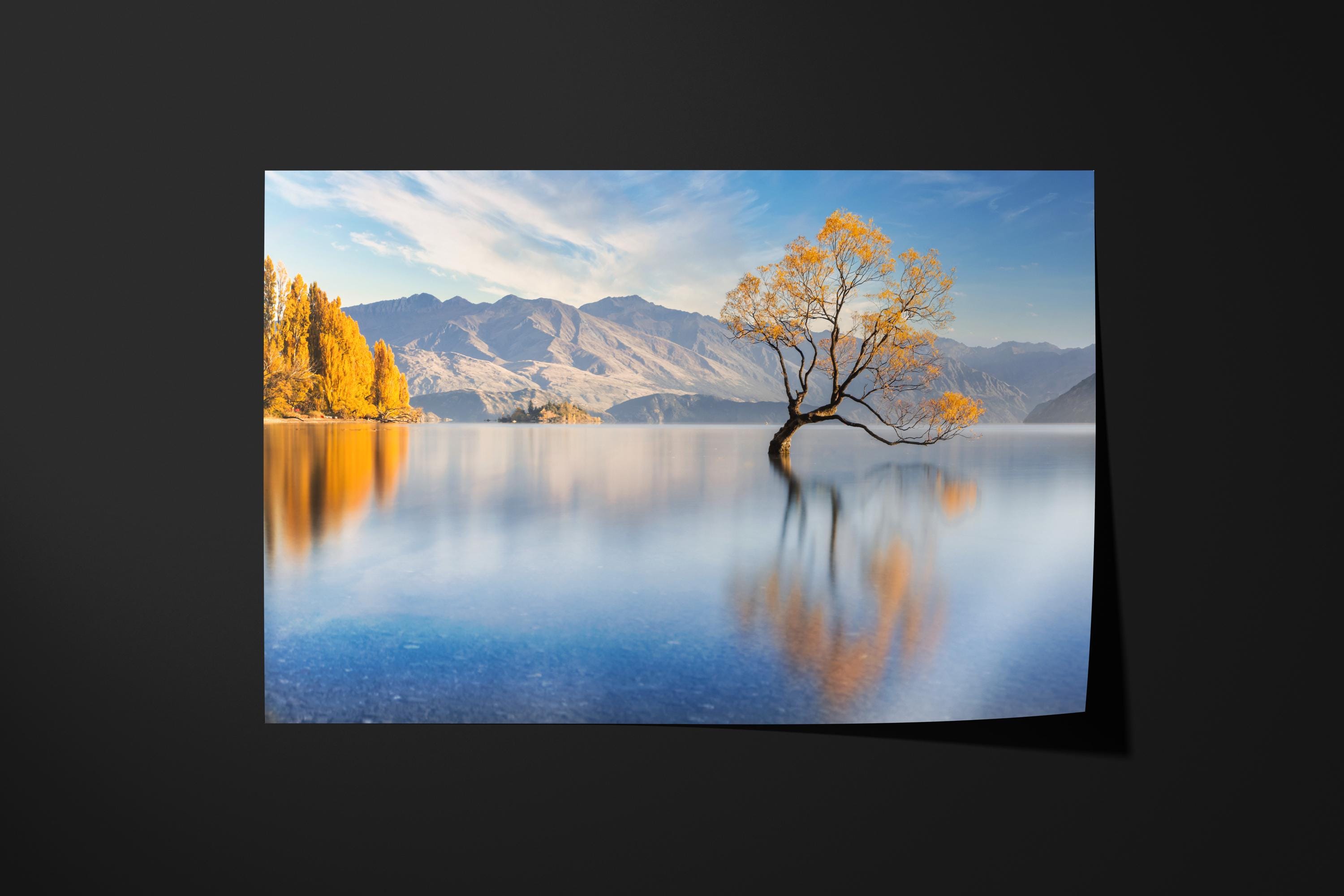 Wanaka Tree