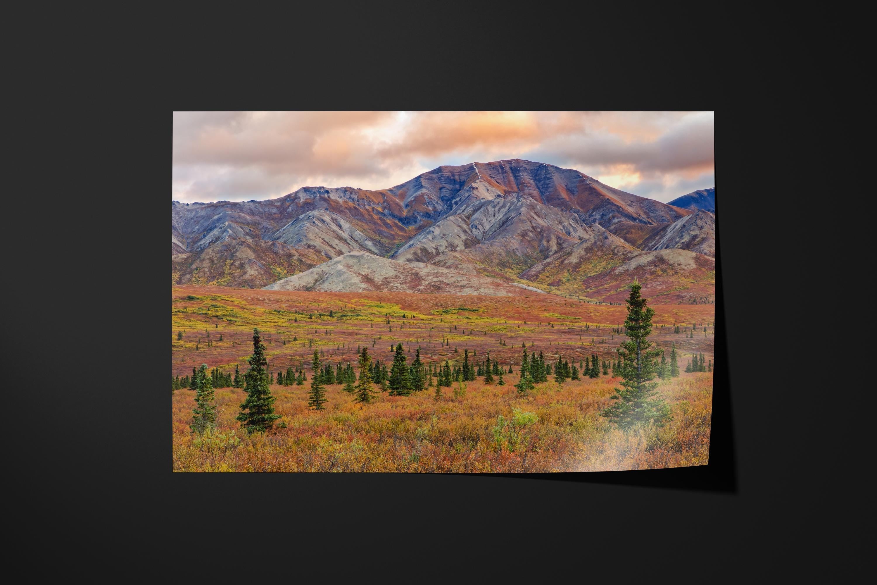 Denali Sunset Alaska