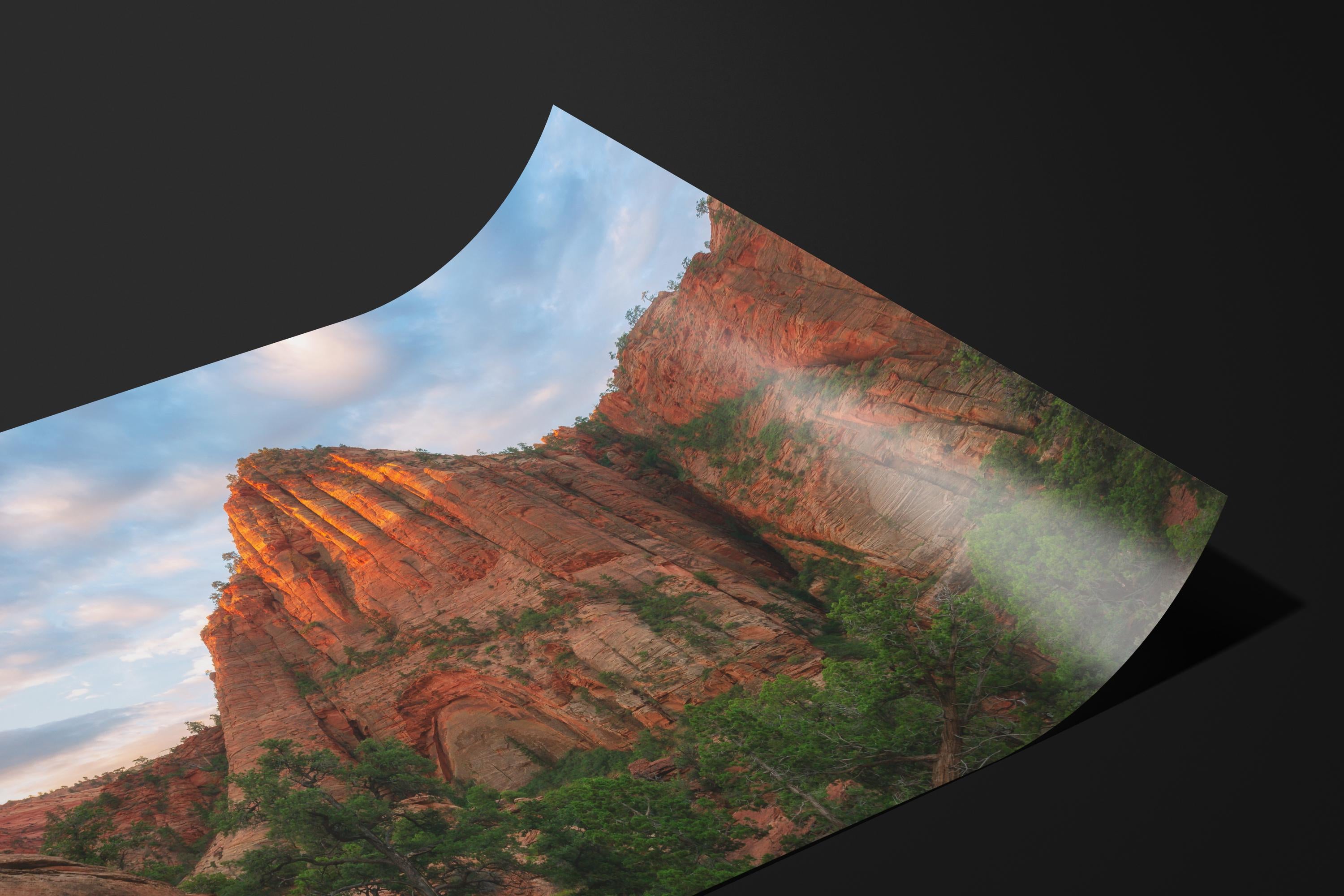 Sunrise Glow on Zion Cliffs