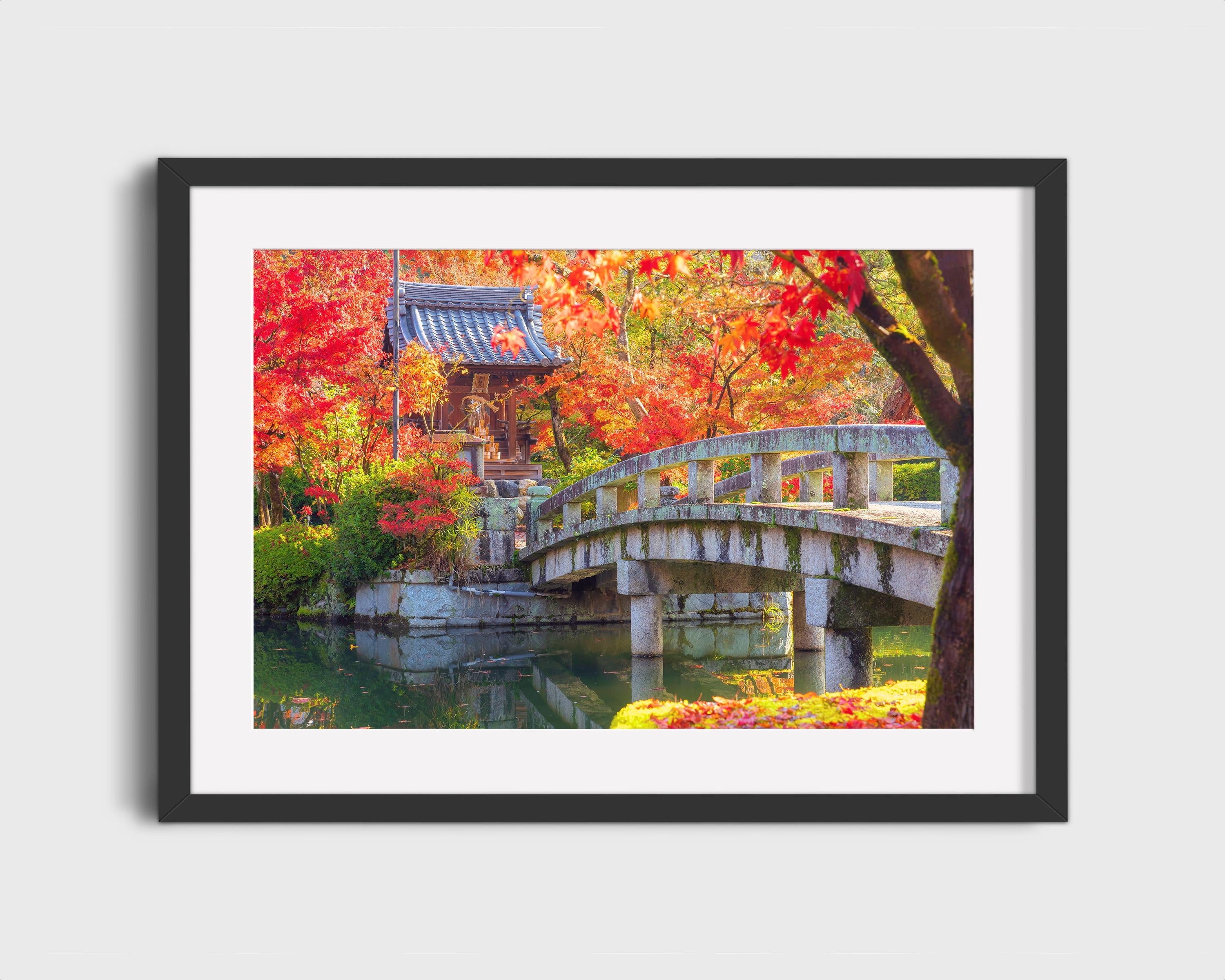 Japanese Garden Bridge in Autumn