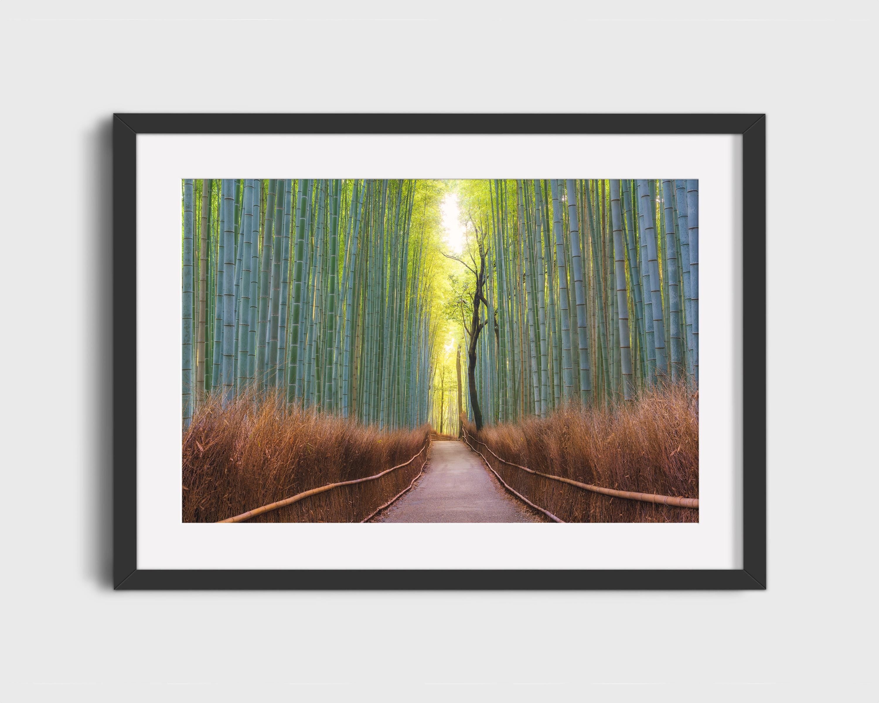 Arashiyama Bamboo Grove