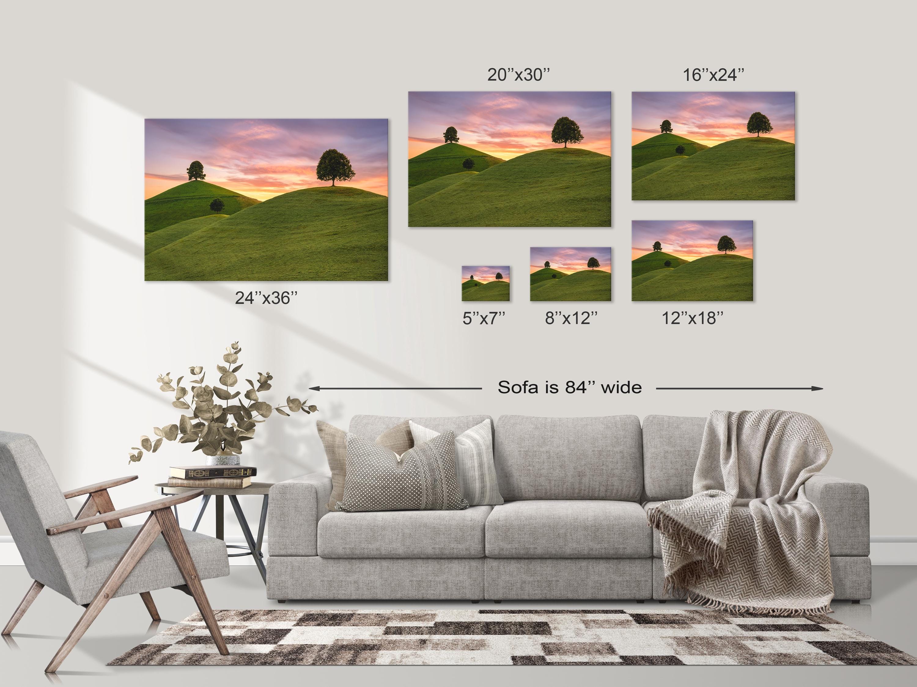 Lone Trees on Rolling Hills at Sunset