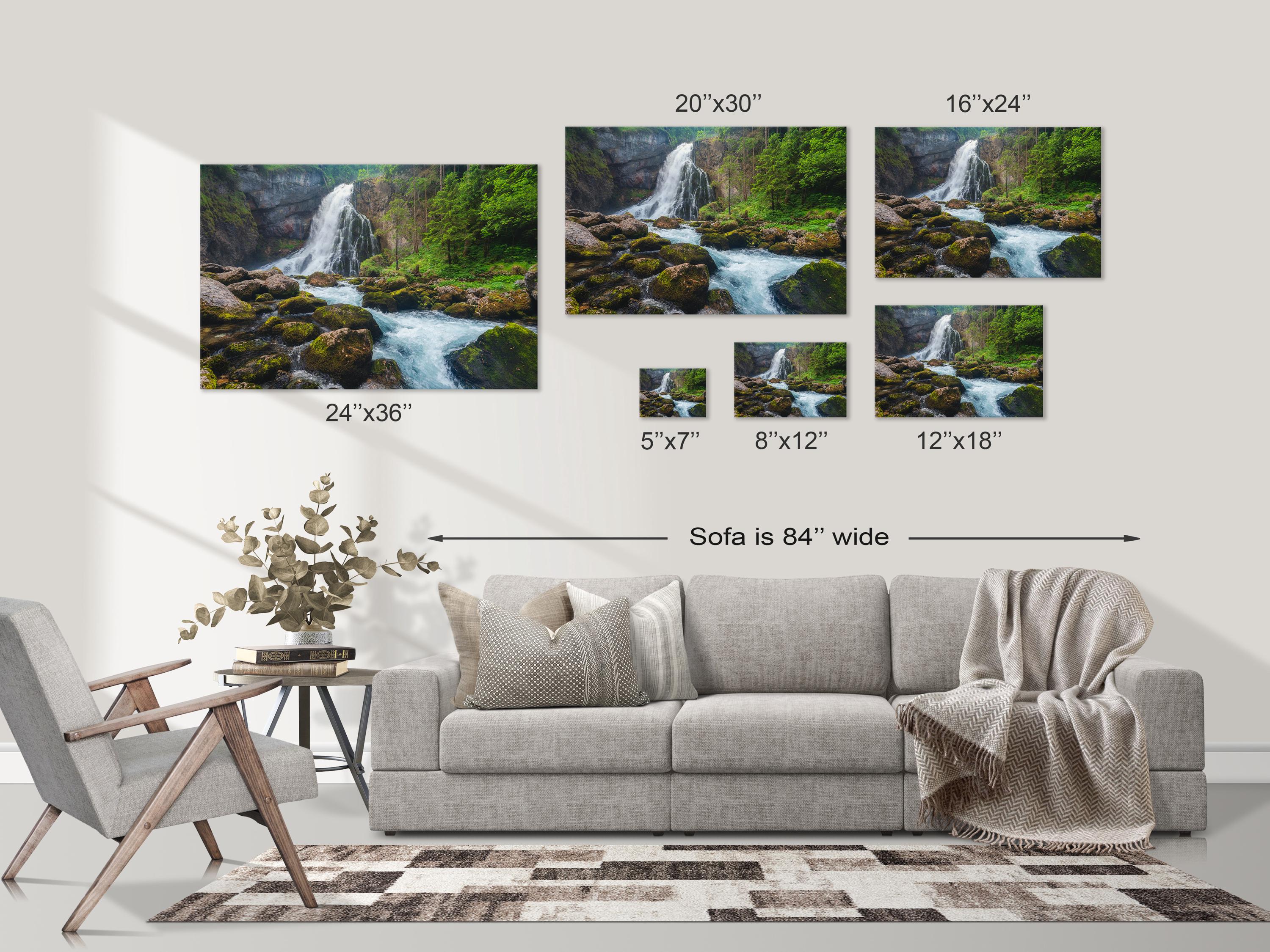 Gollinger Waterfall Forest