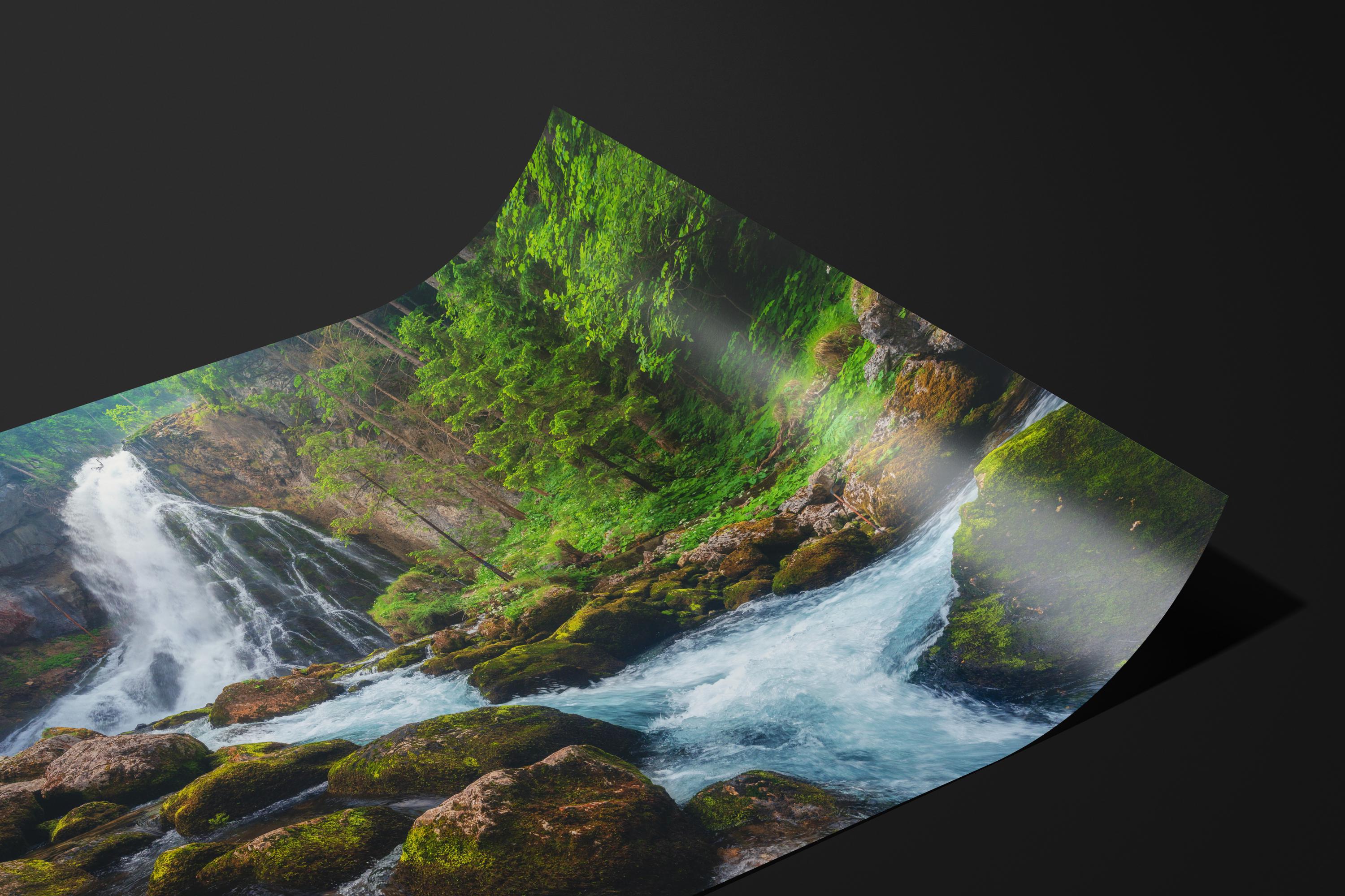 Gollinger Waterfall Forest