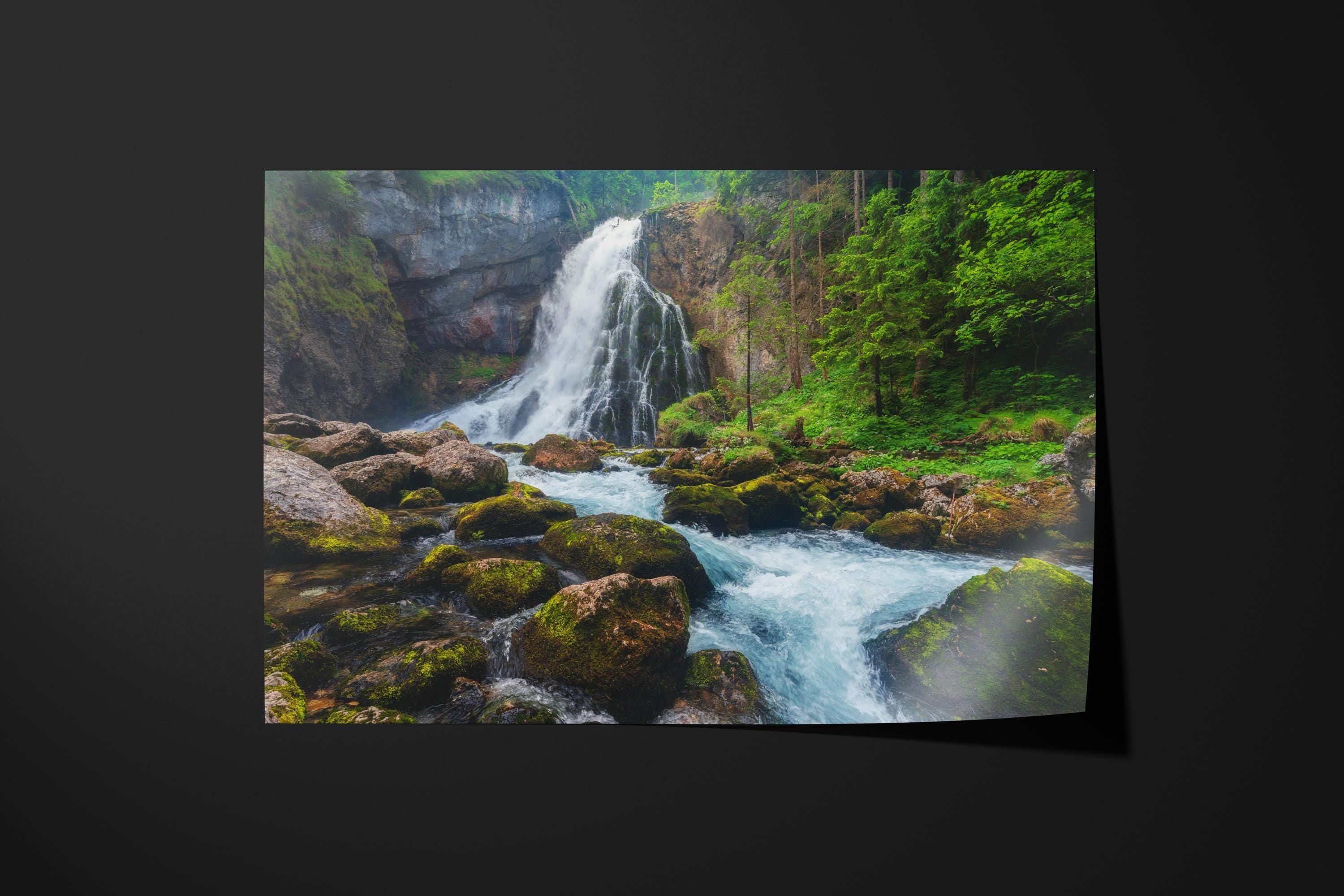 Gollinger Waterfall Forest