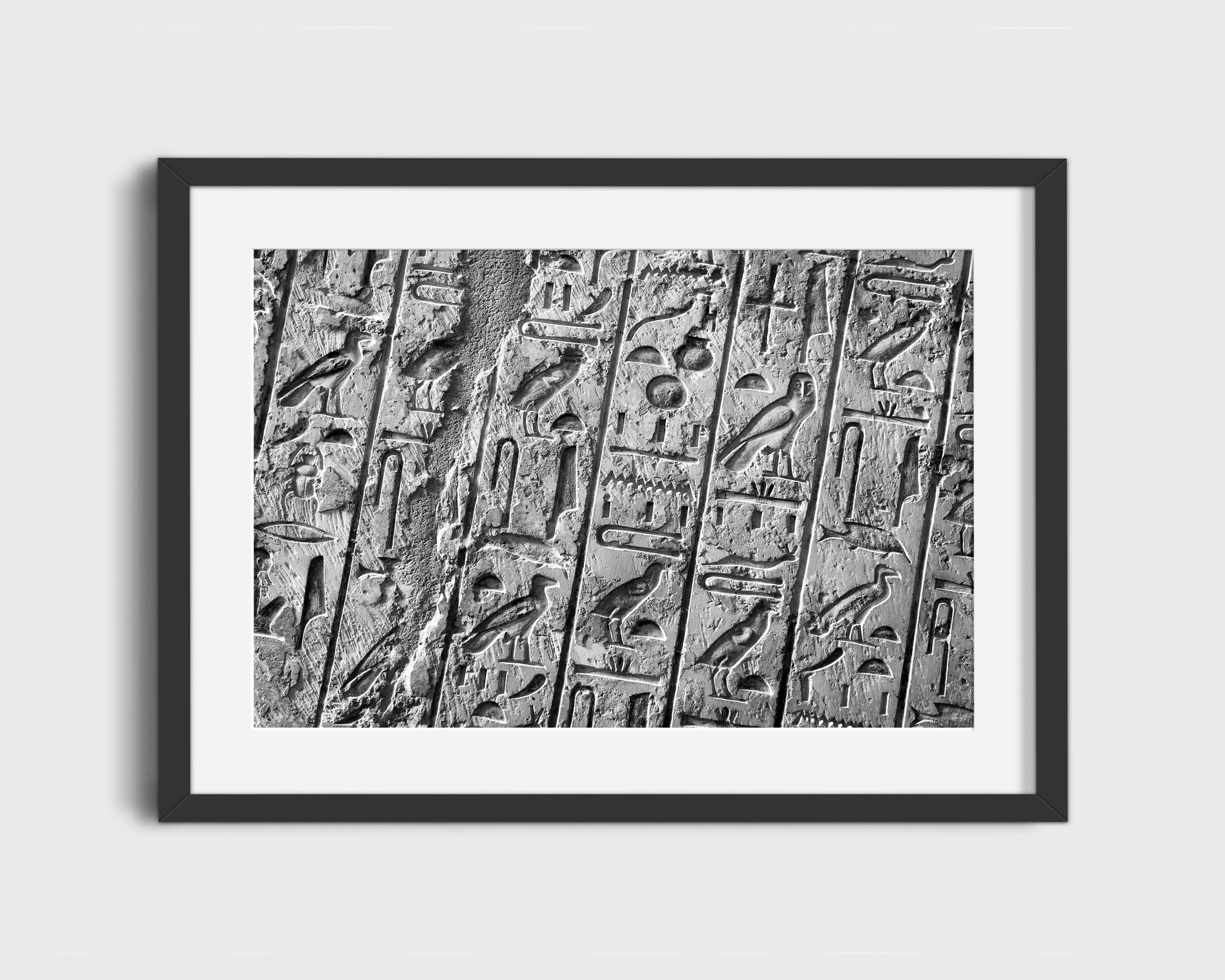 Egyptian Hieroglyphs Distressed