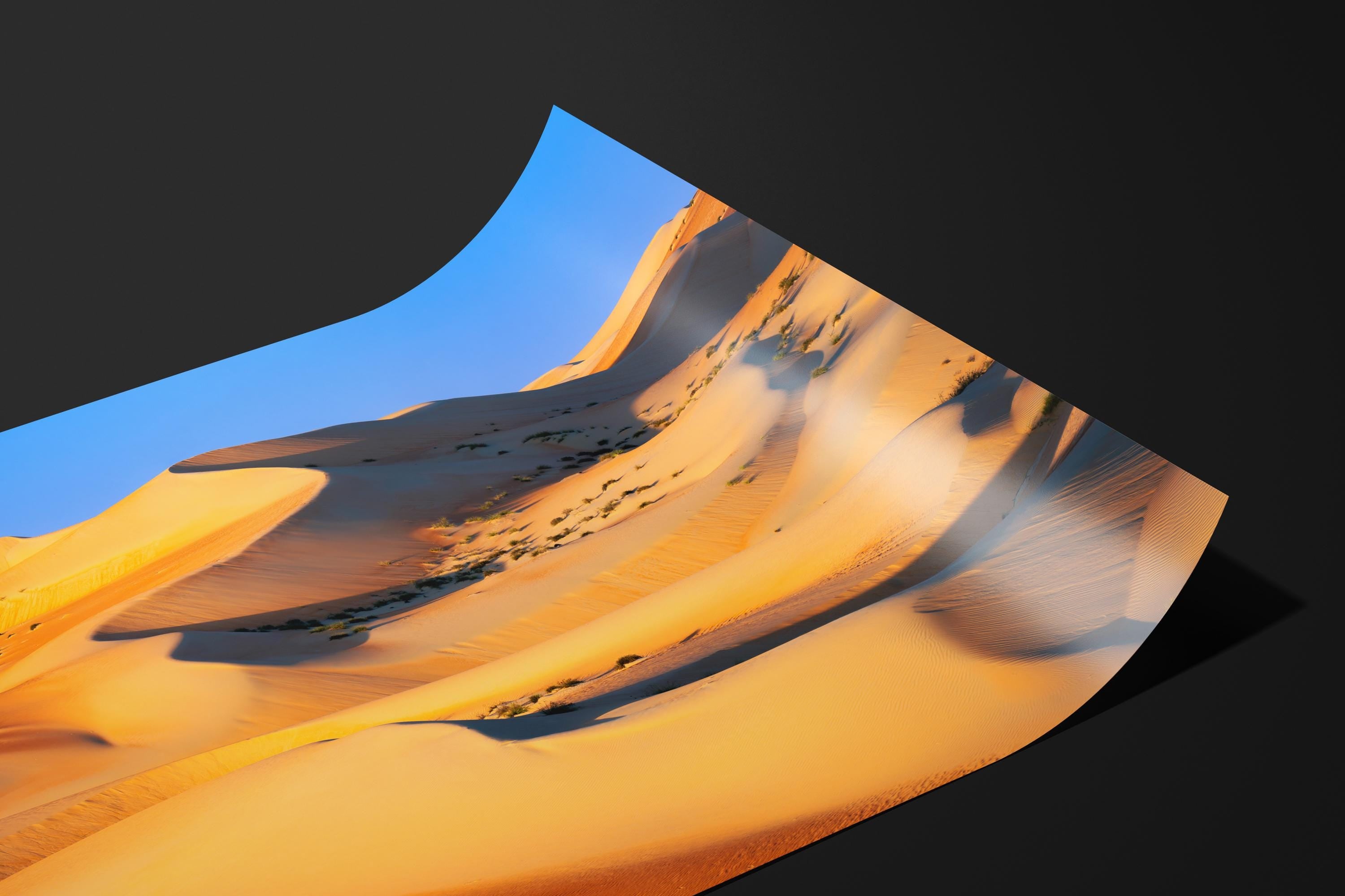 Golden Liwa Desert Dunes