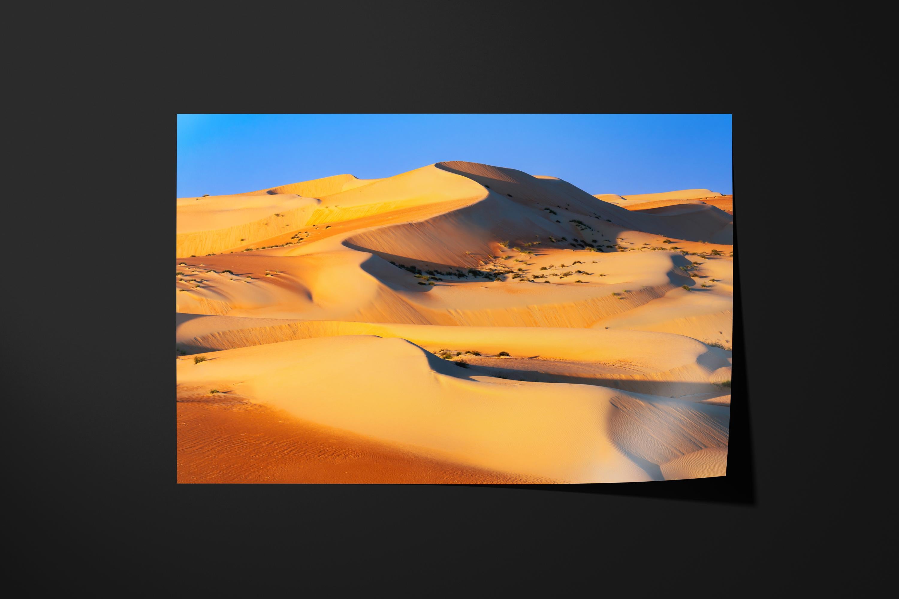 Golden Liwa Desert Dunes
