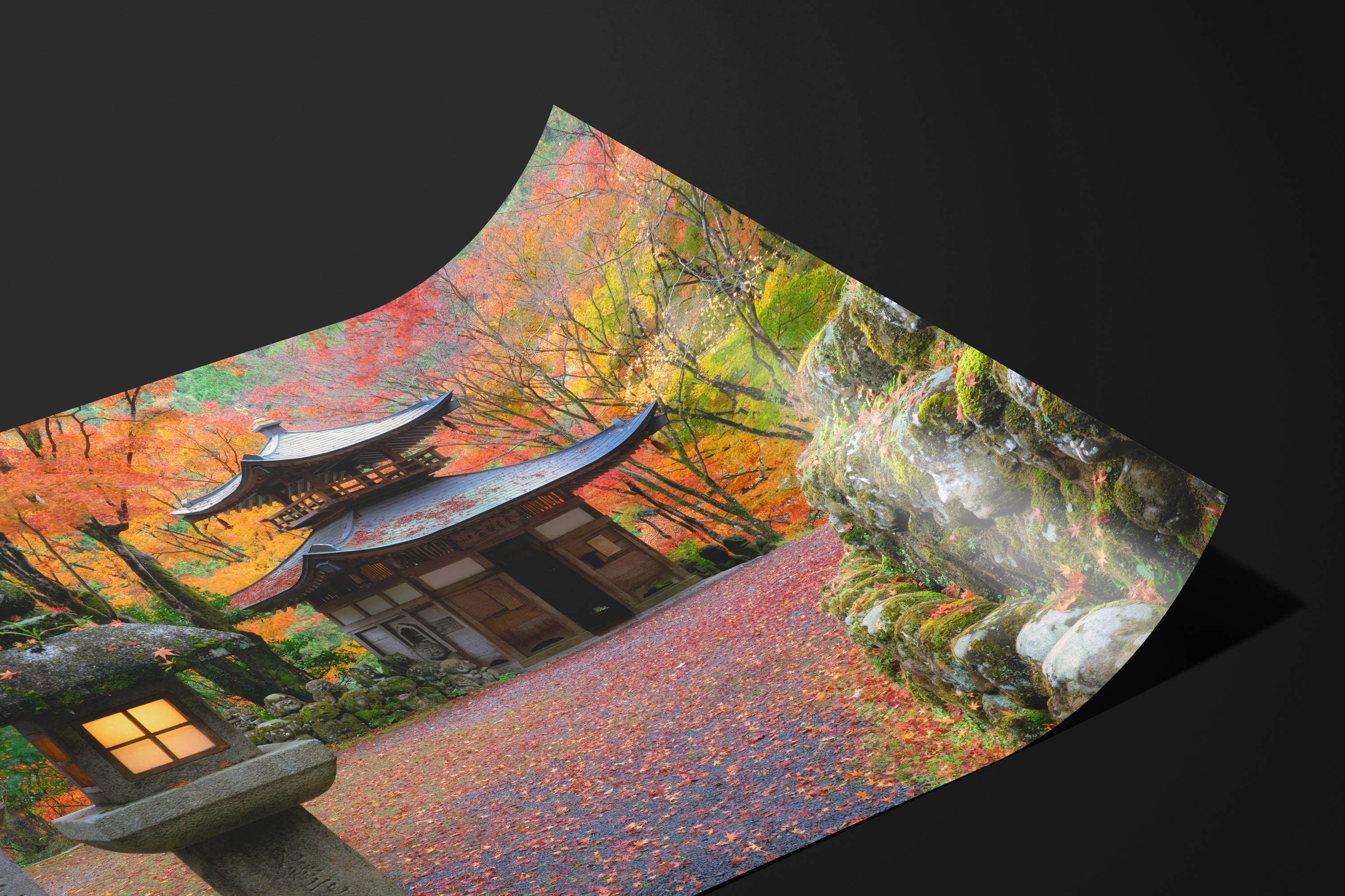 Japanese Temple in Autumn