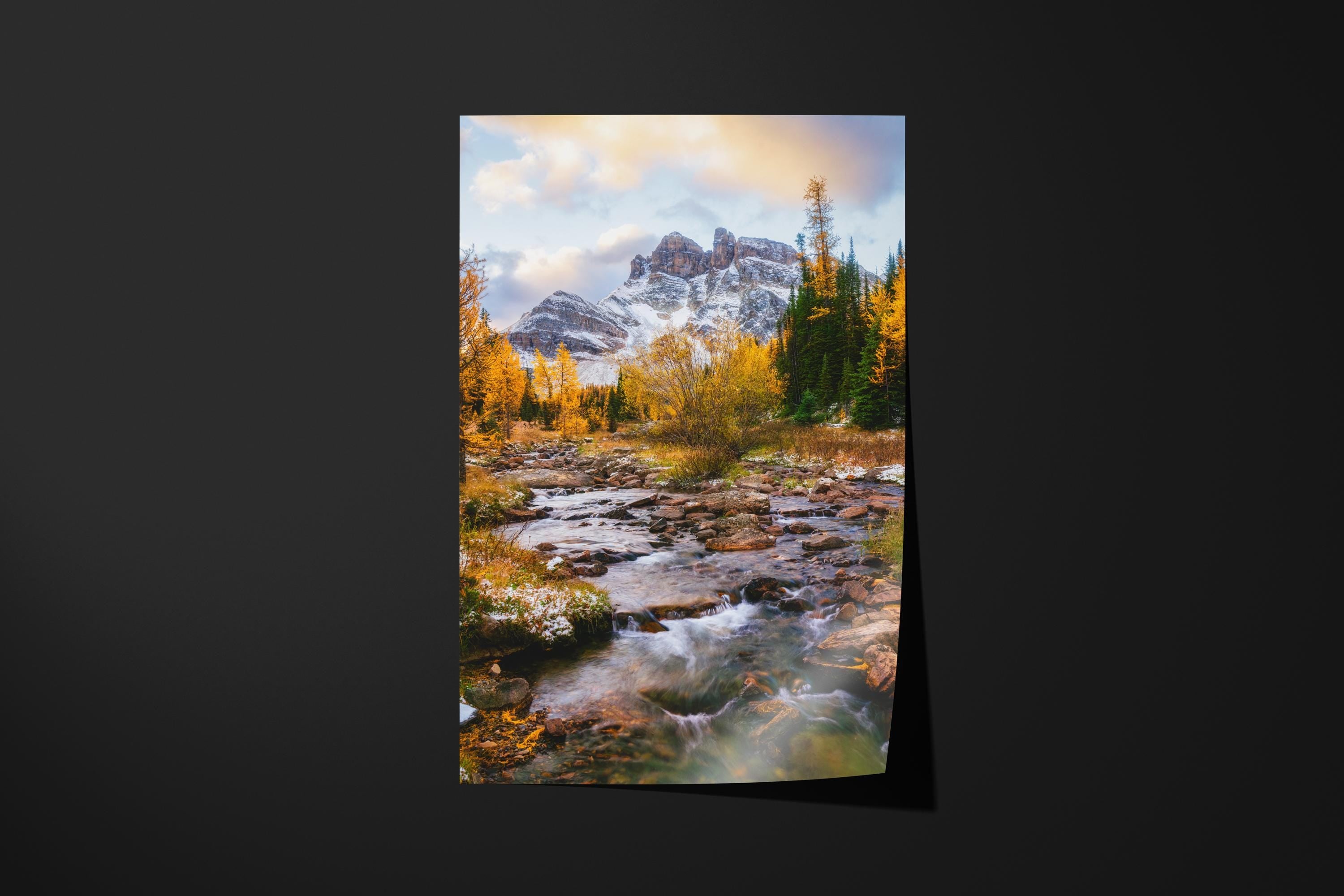 Golden Larch River in the Rockies