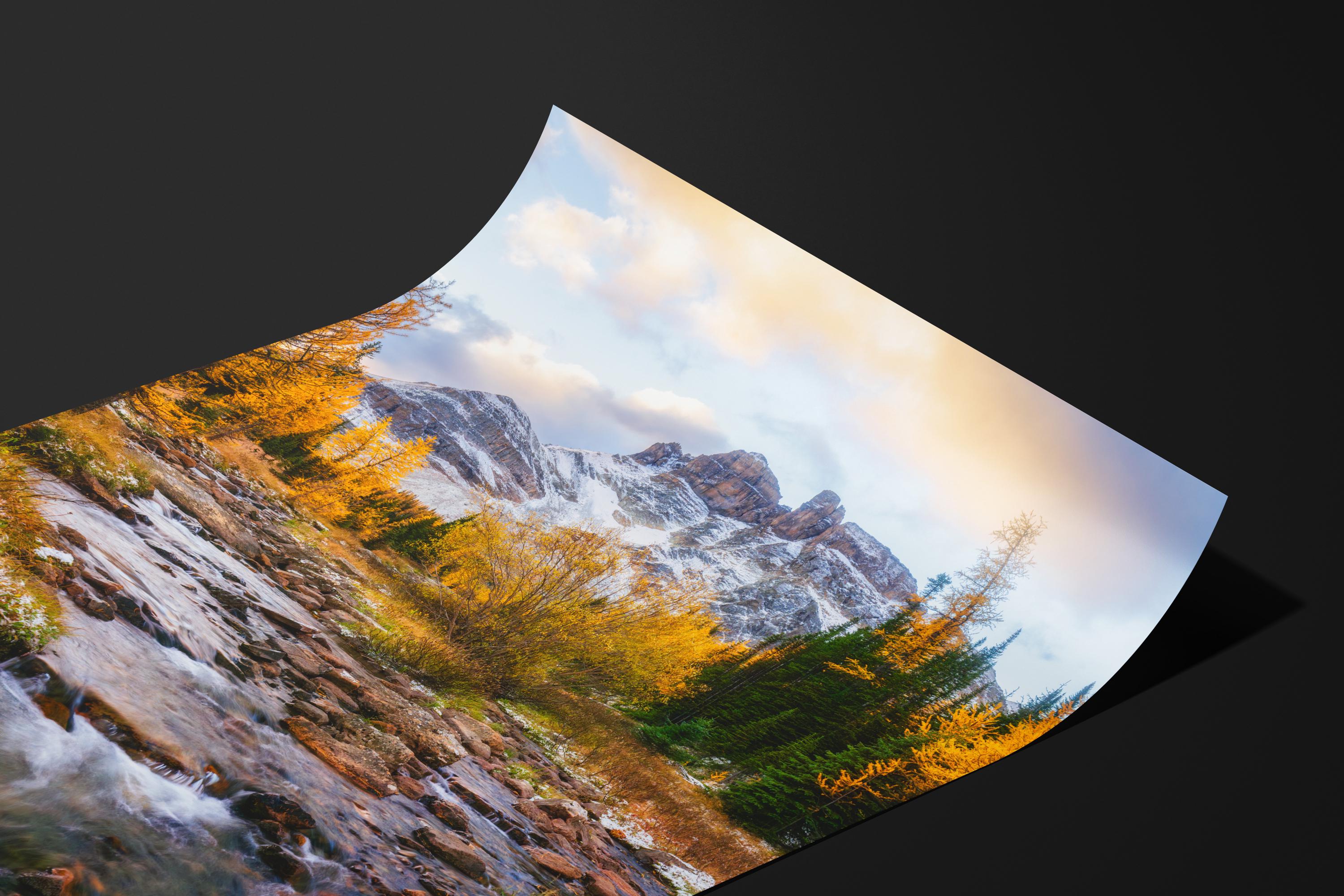Golden Larch River in the Rockies