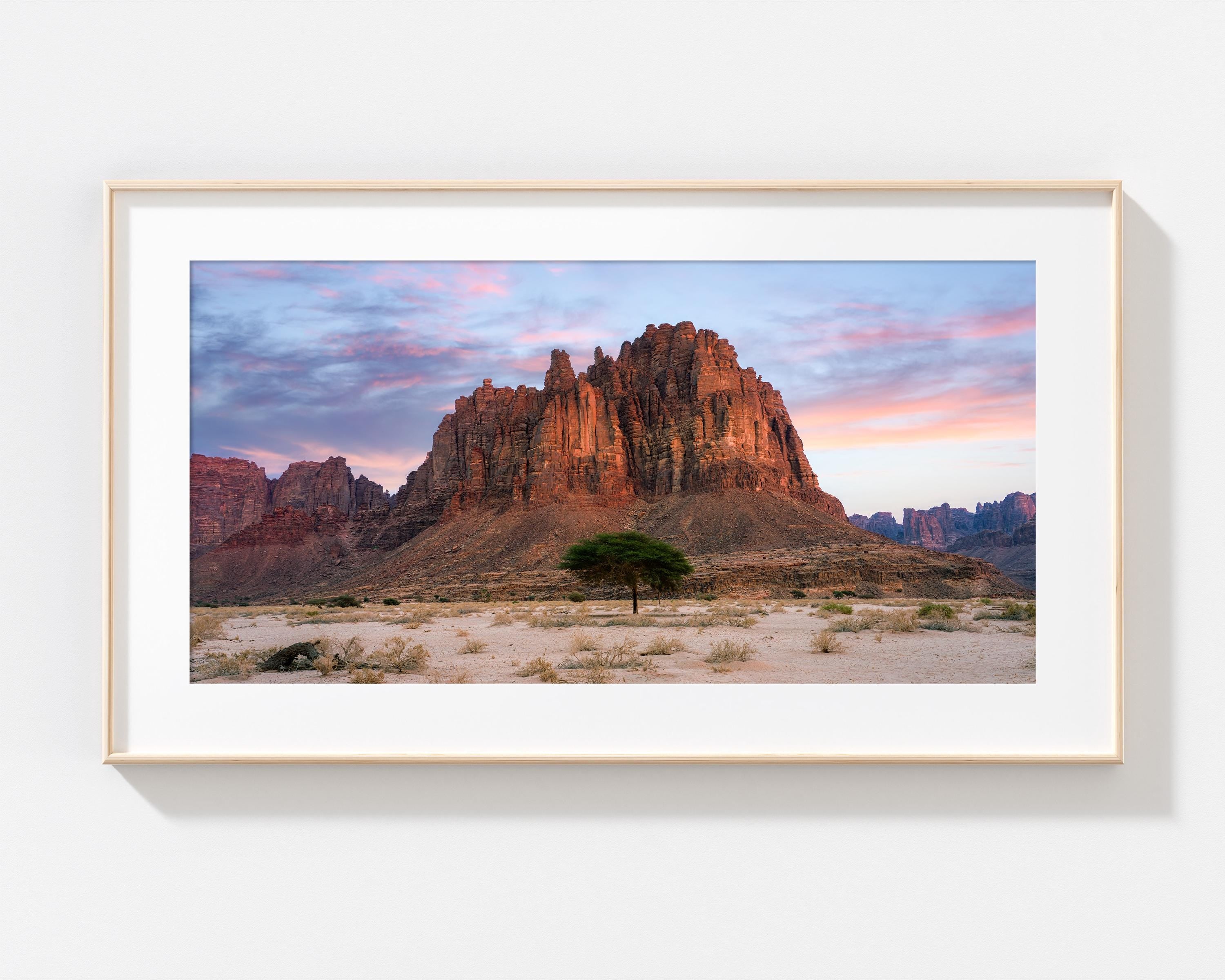 Lone Tree in Wadi Disah