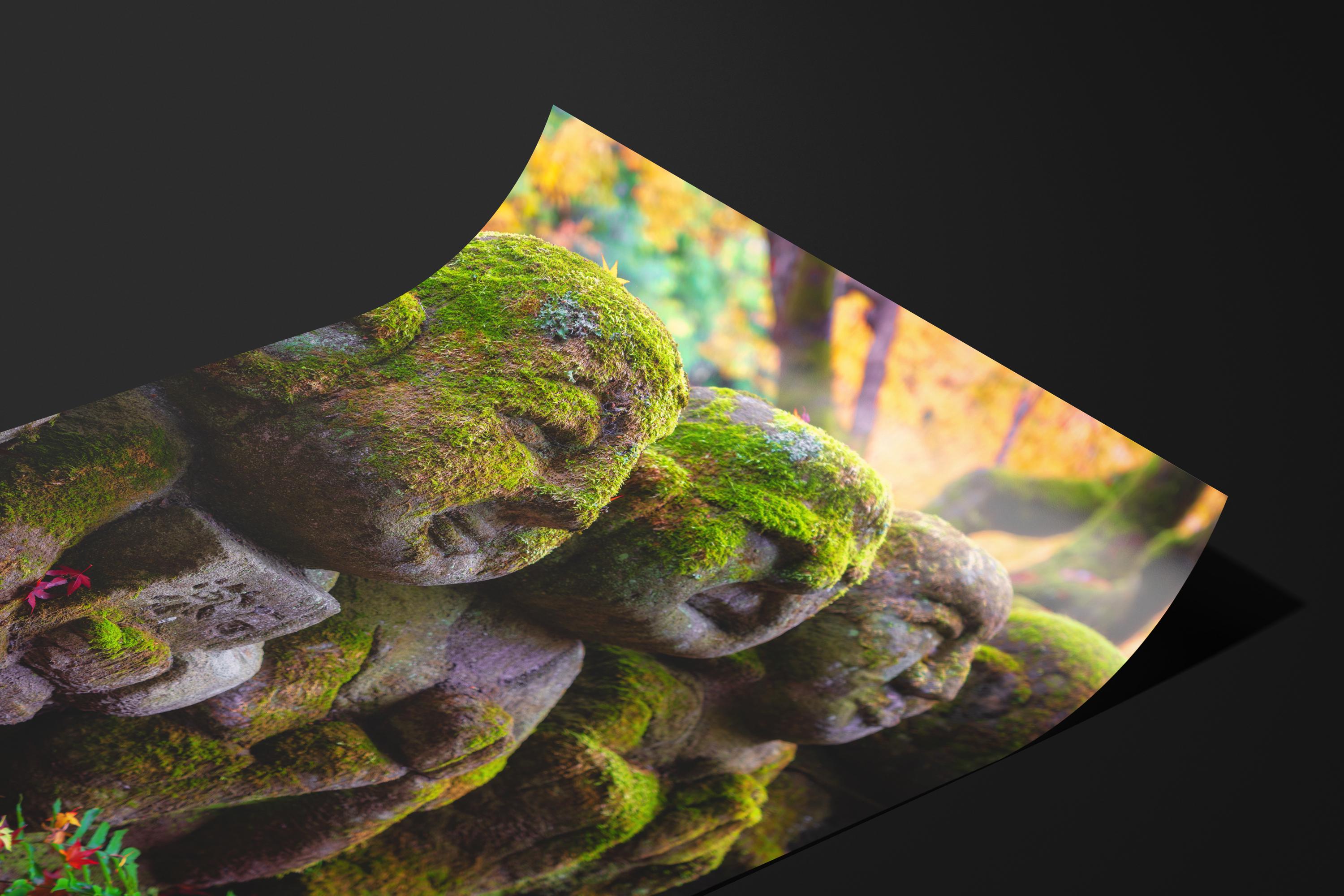 Mossy Buddha Statues