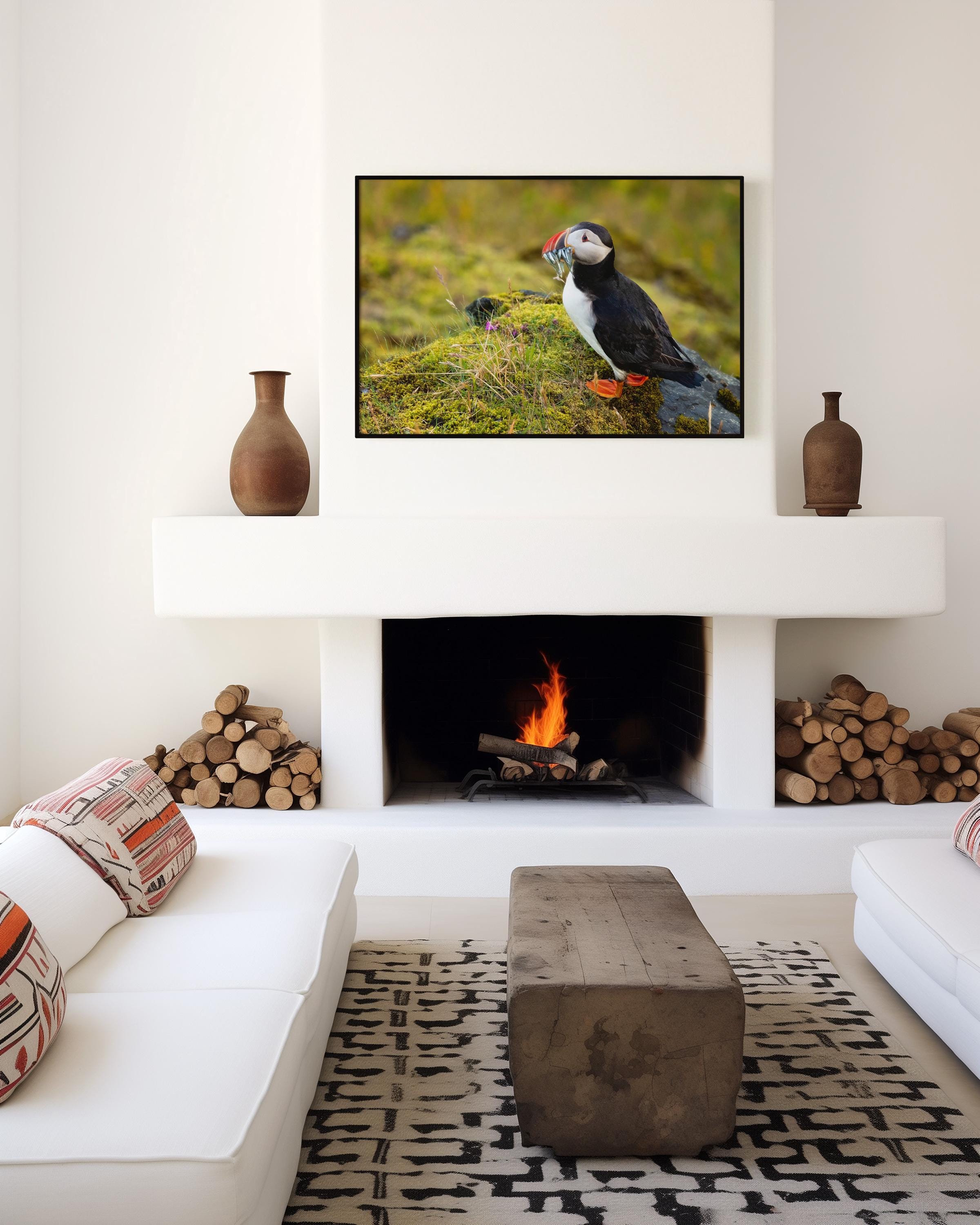 Atlantic Puffin Fishing