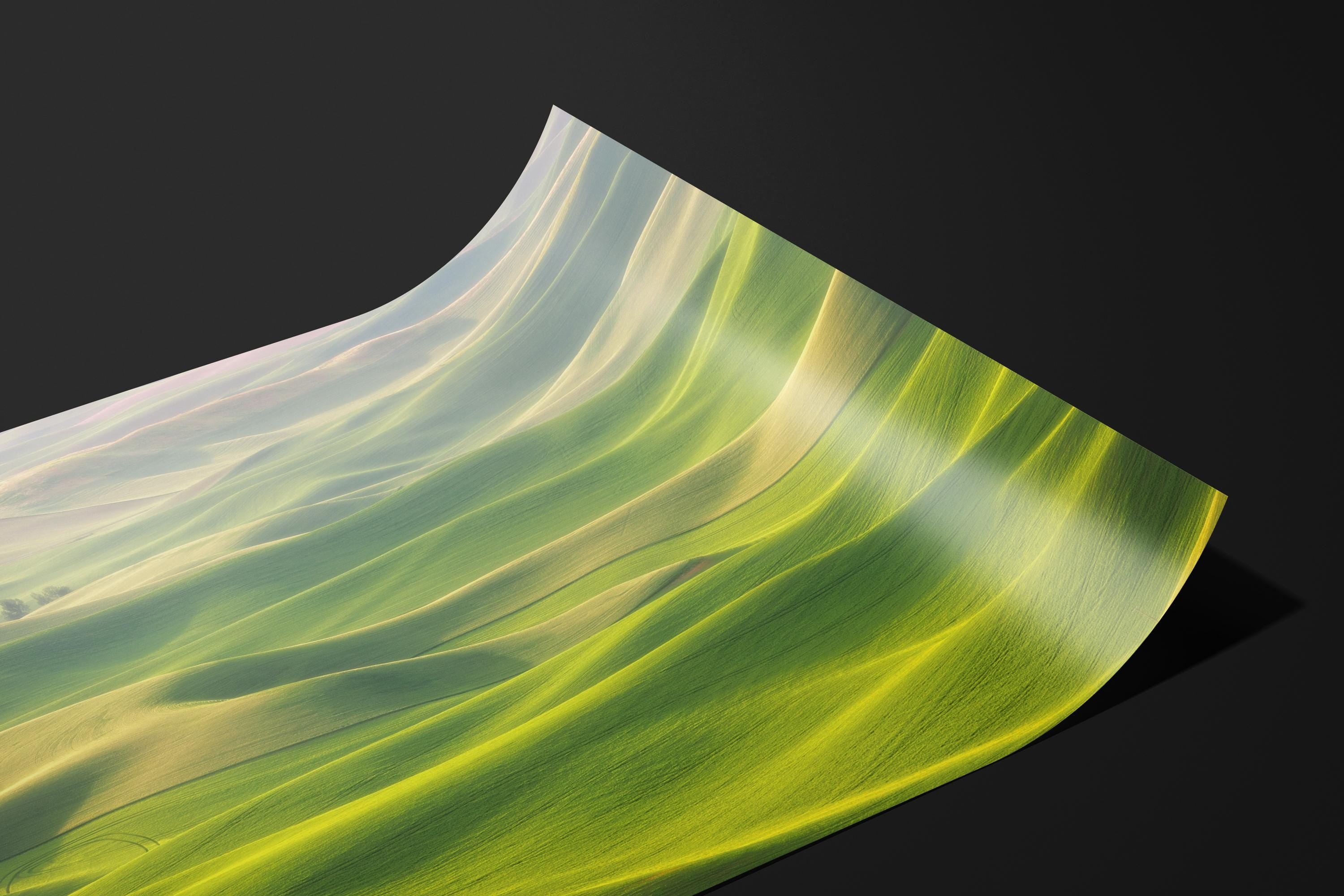 Rolling Hills Landscape