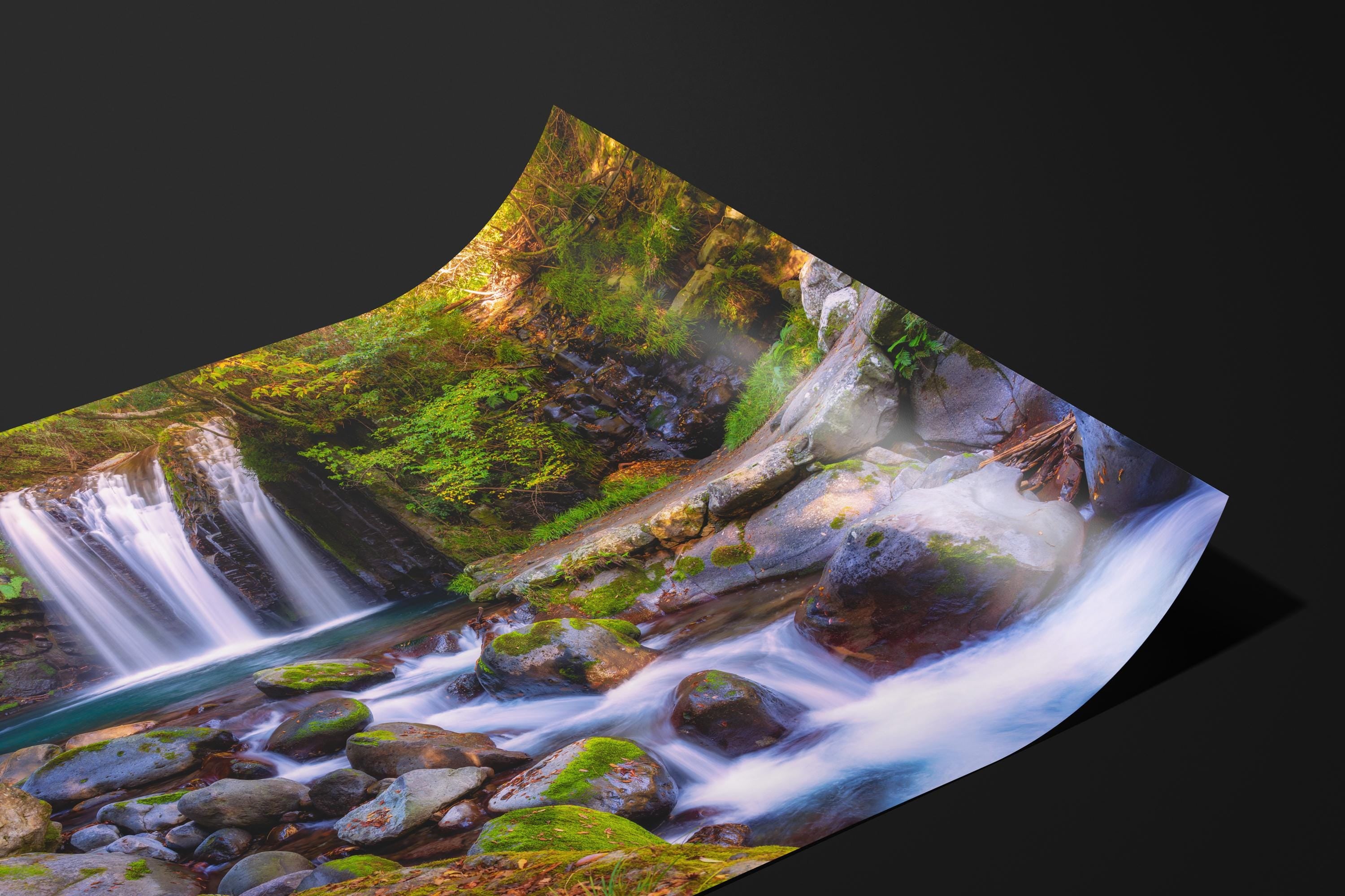 Tranquil Forest Waterfall