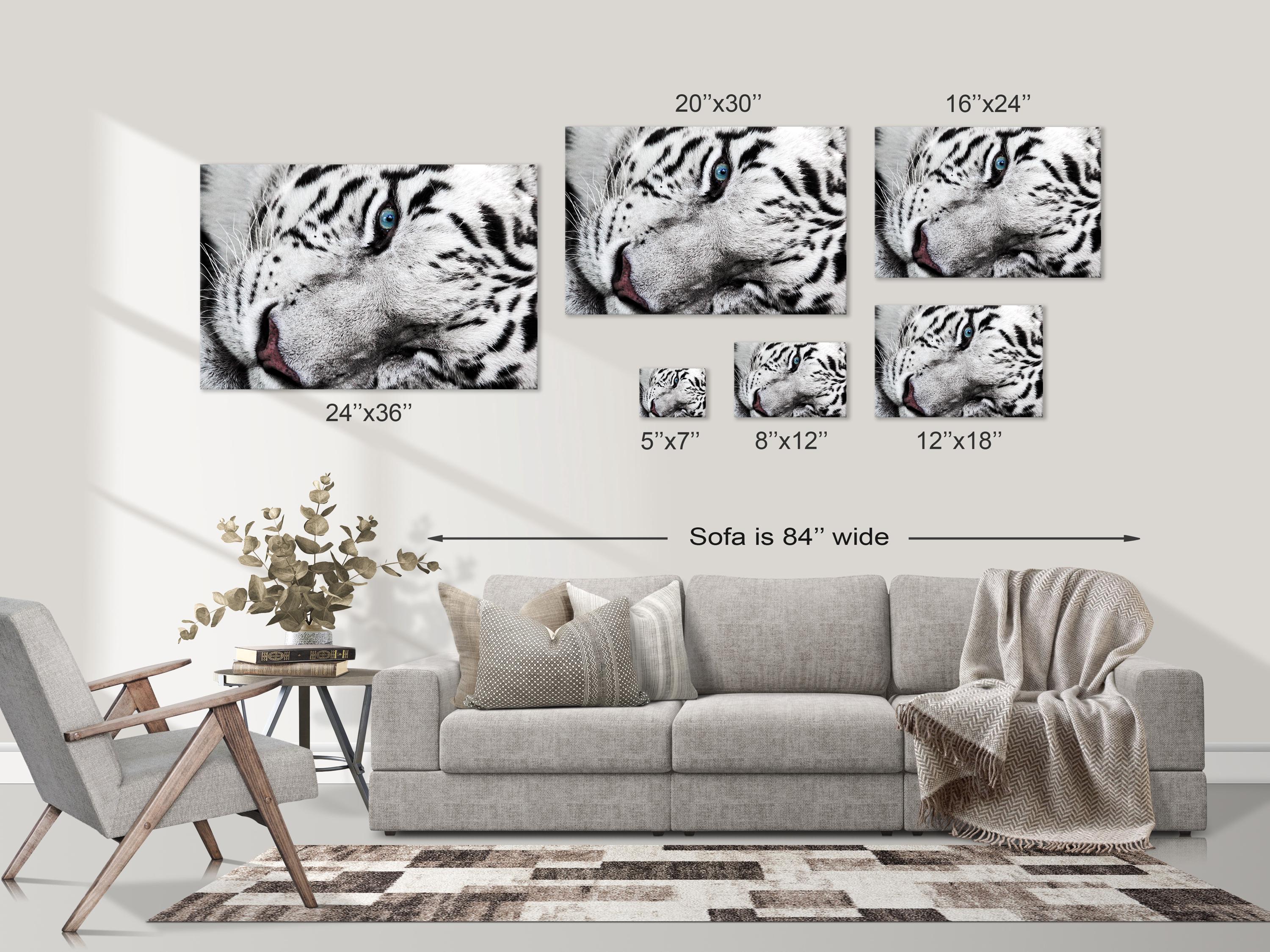 Majestic White Tiger Eye