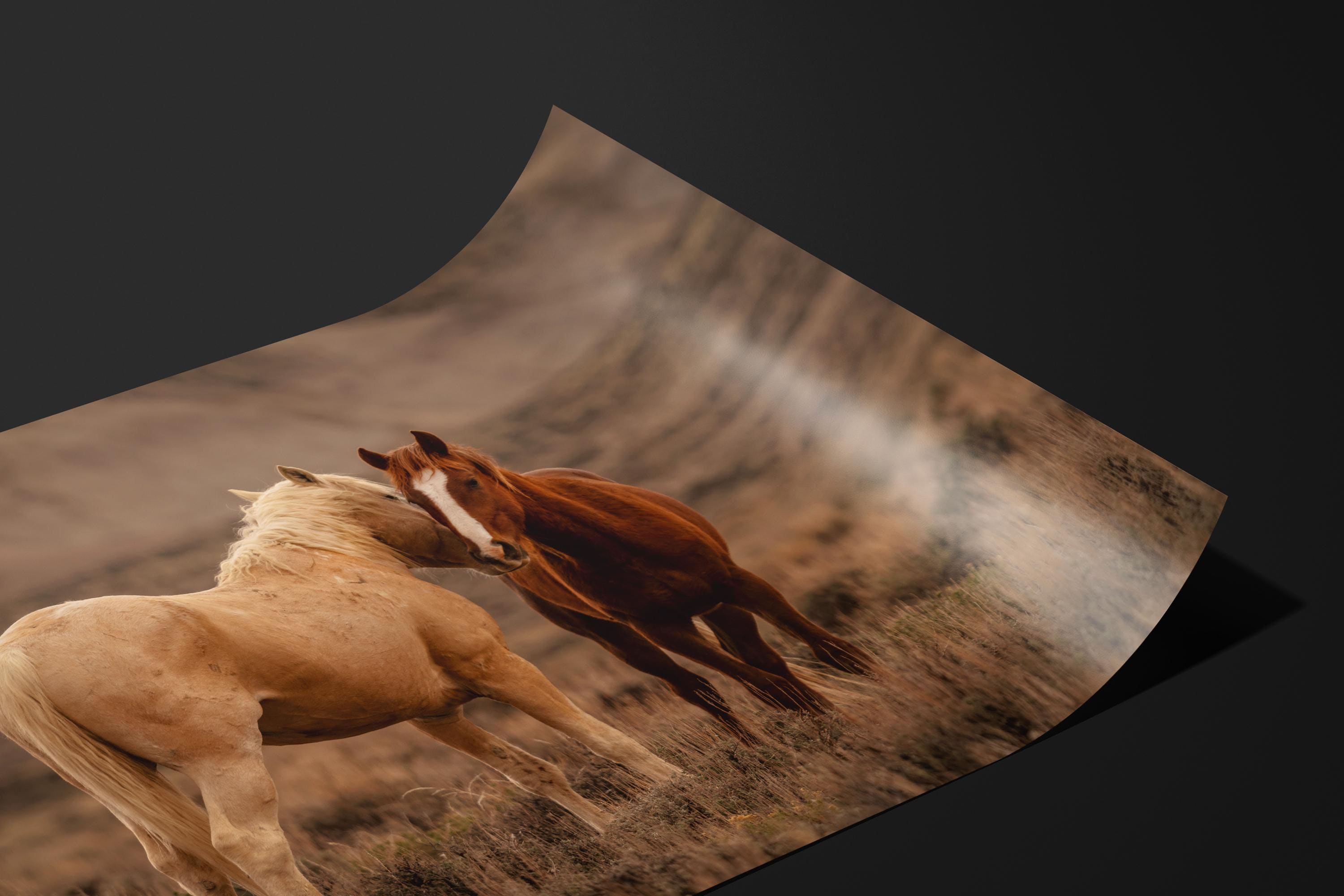 Wild Mustang Kiss