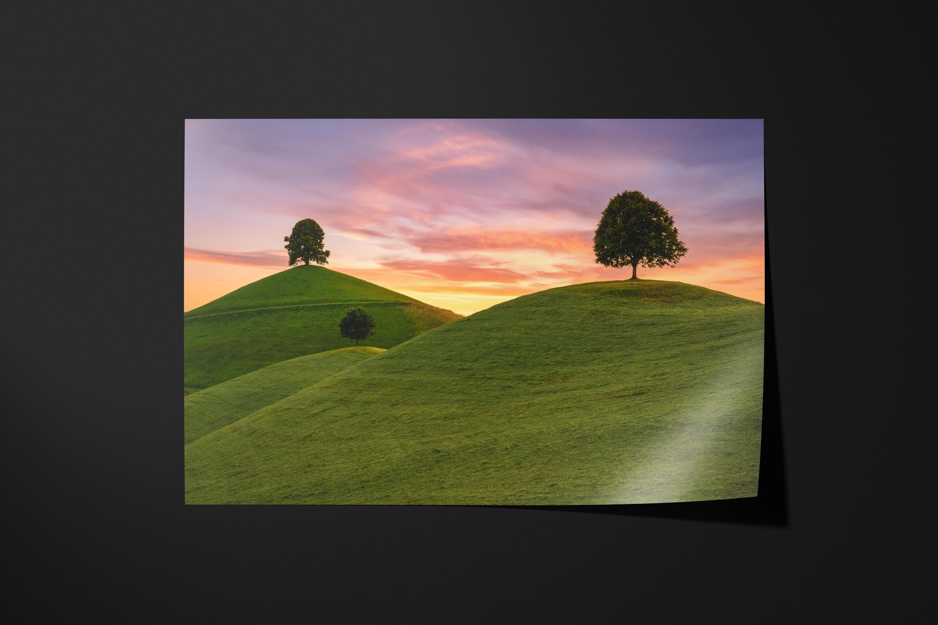 Lone Trees on Rolling Hills at Sunset