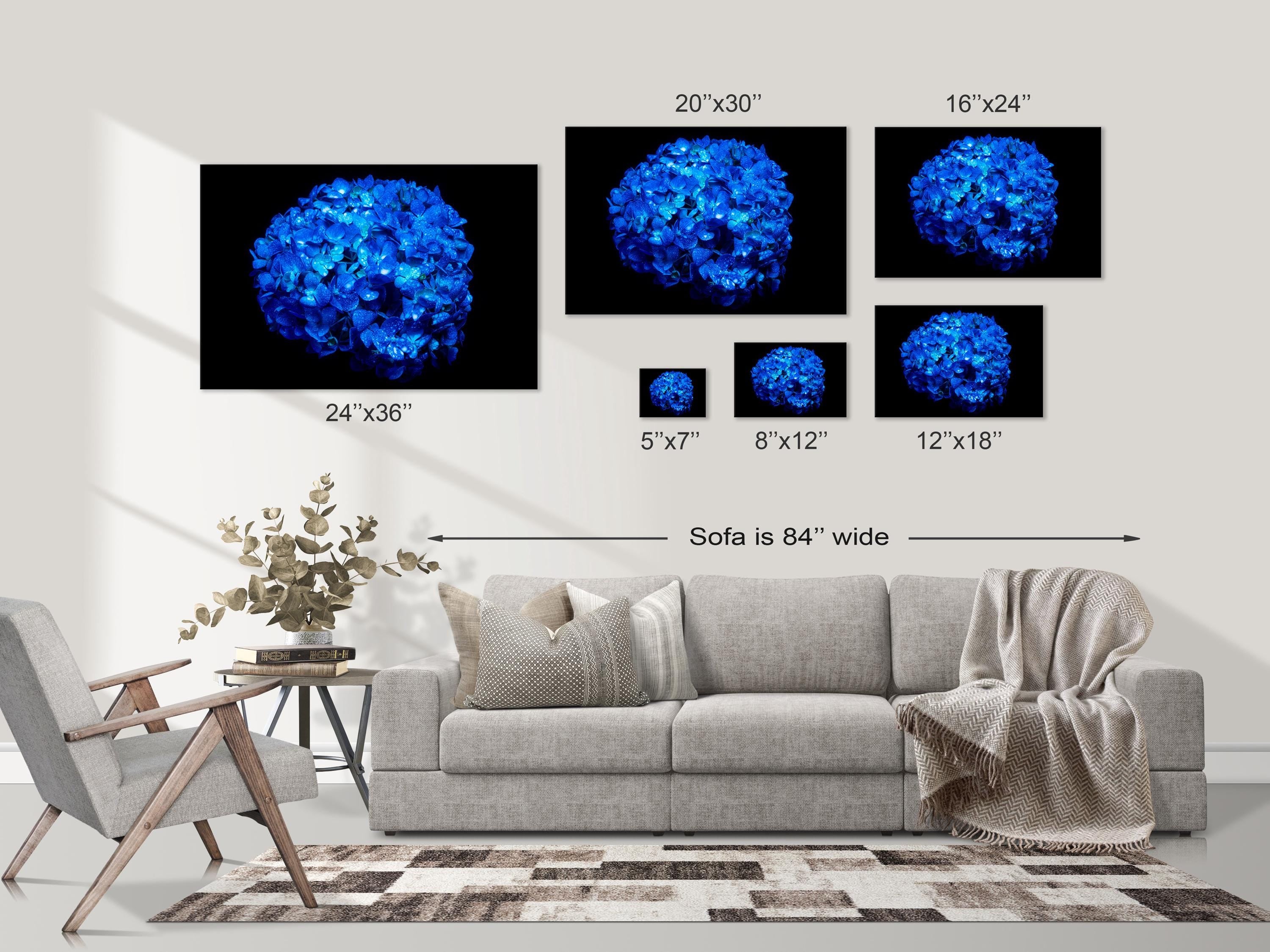Electric Blue Hydrangea