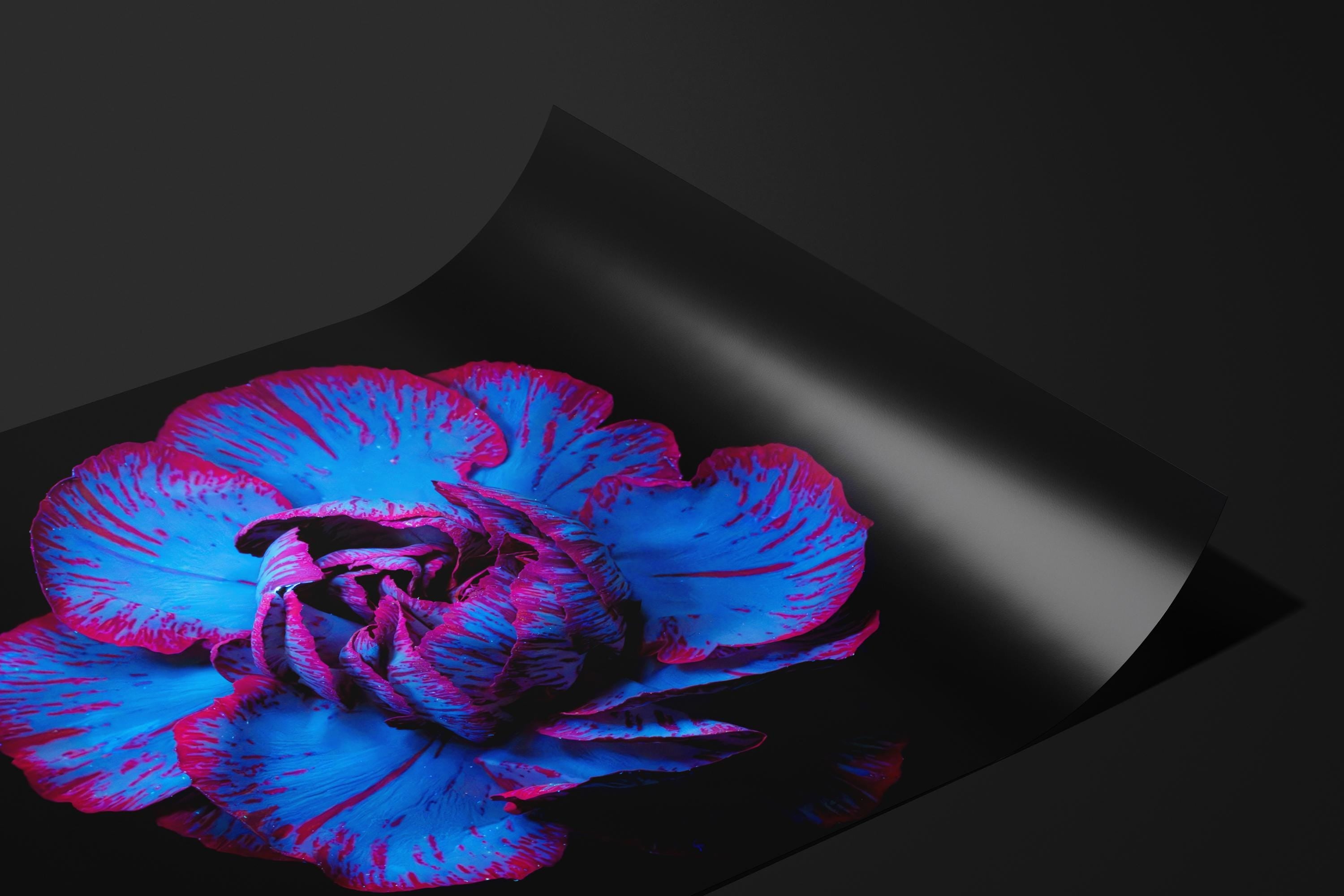Electric Blue UV Flower