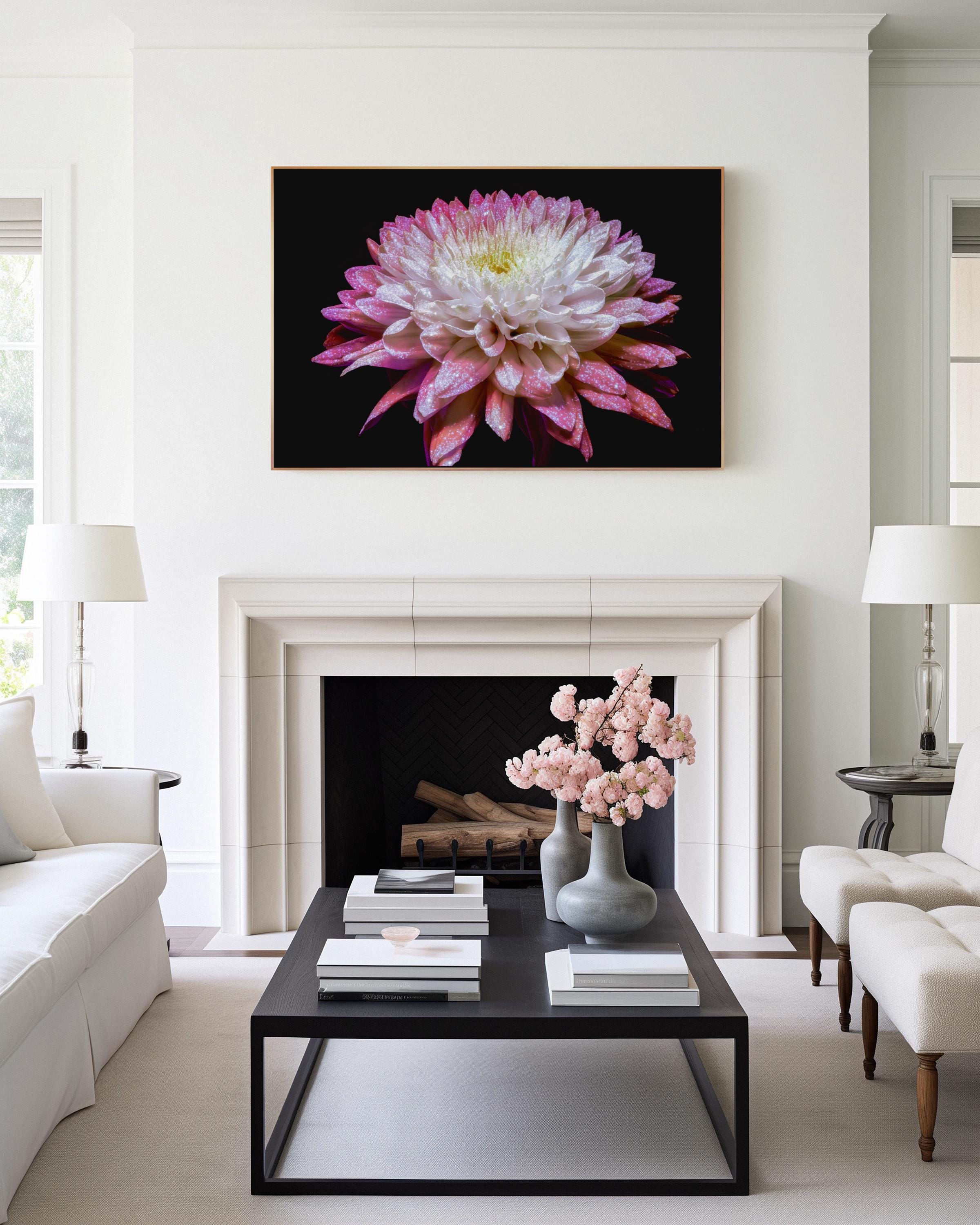 Glowing Pink Dahlia