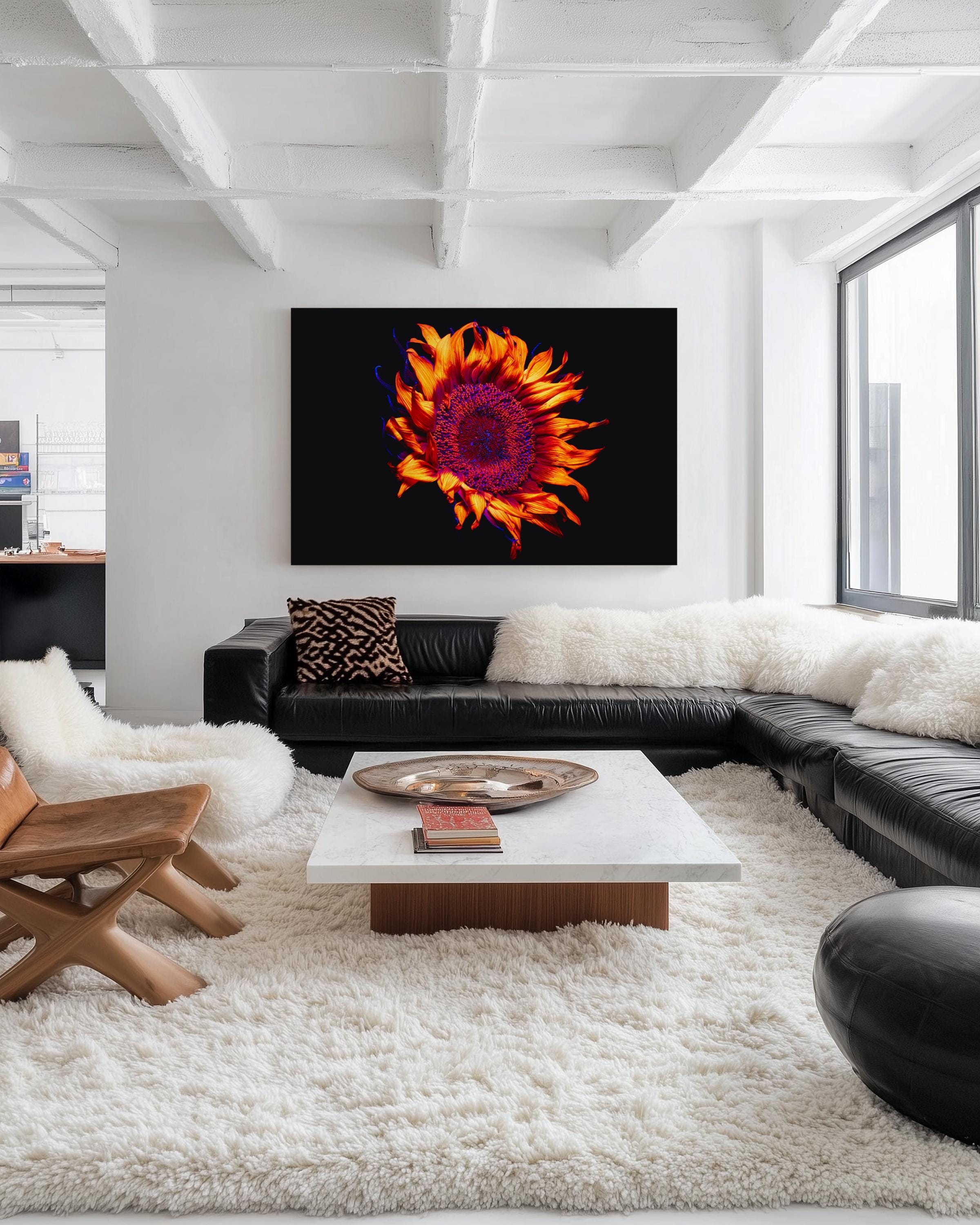 UV Sunflower