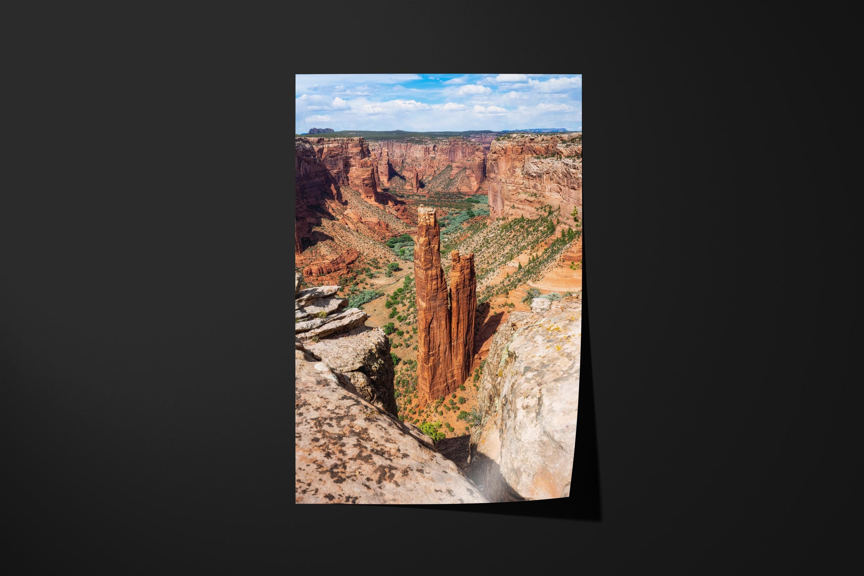 Spider Rock Wall Art