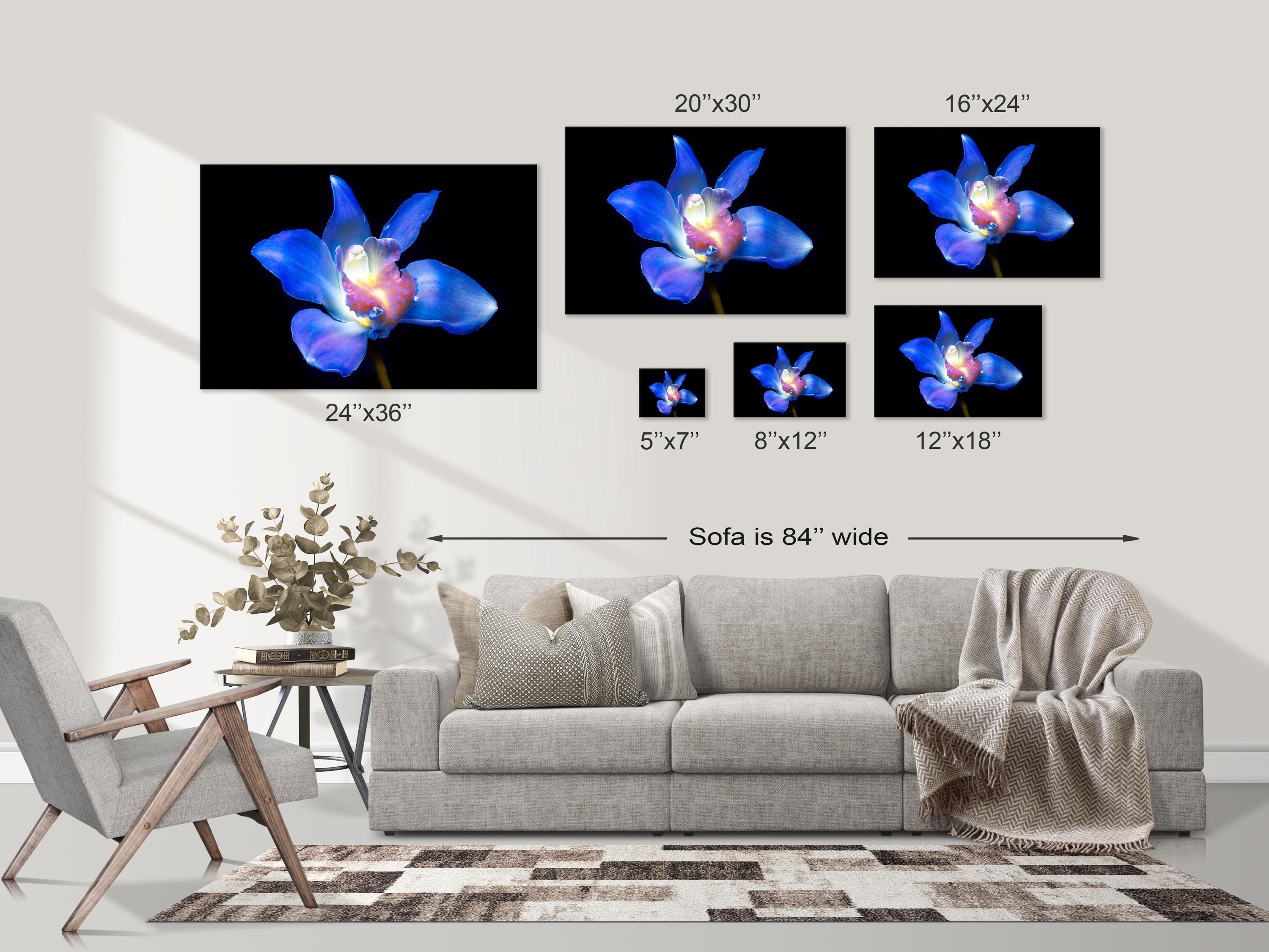 Blue Orchid