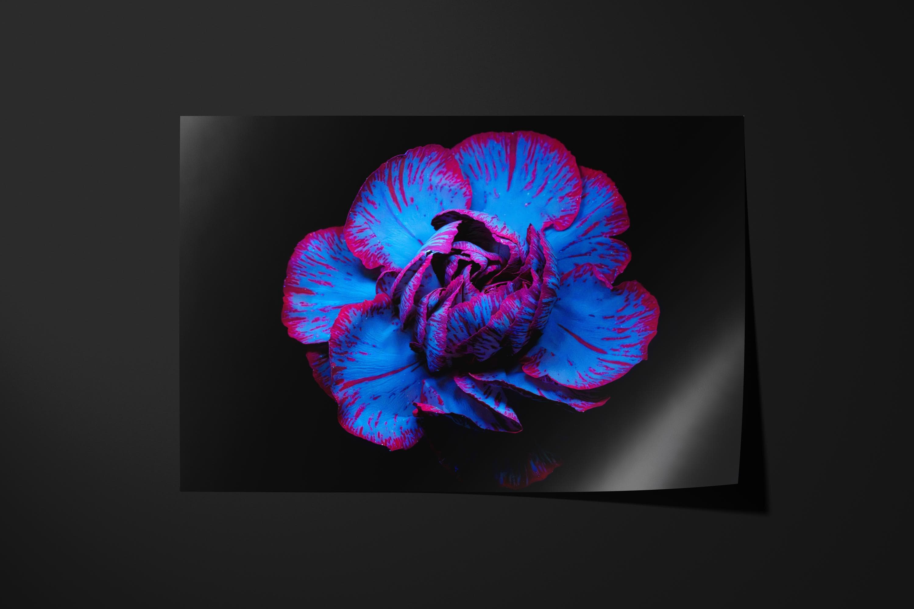 Electric Blue UV Flower