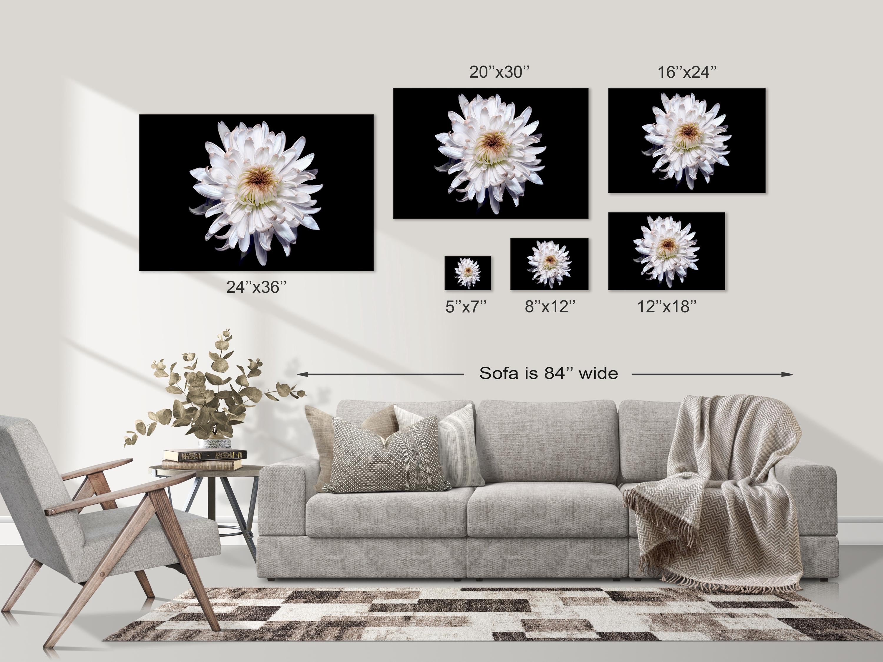 White Chrysanthemum