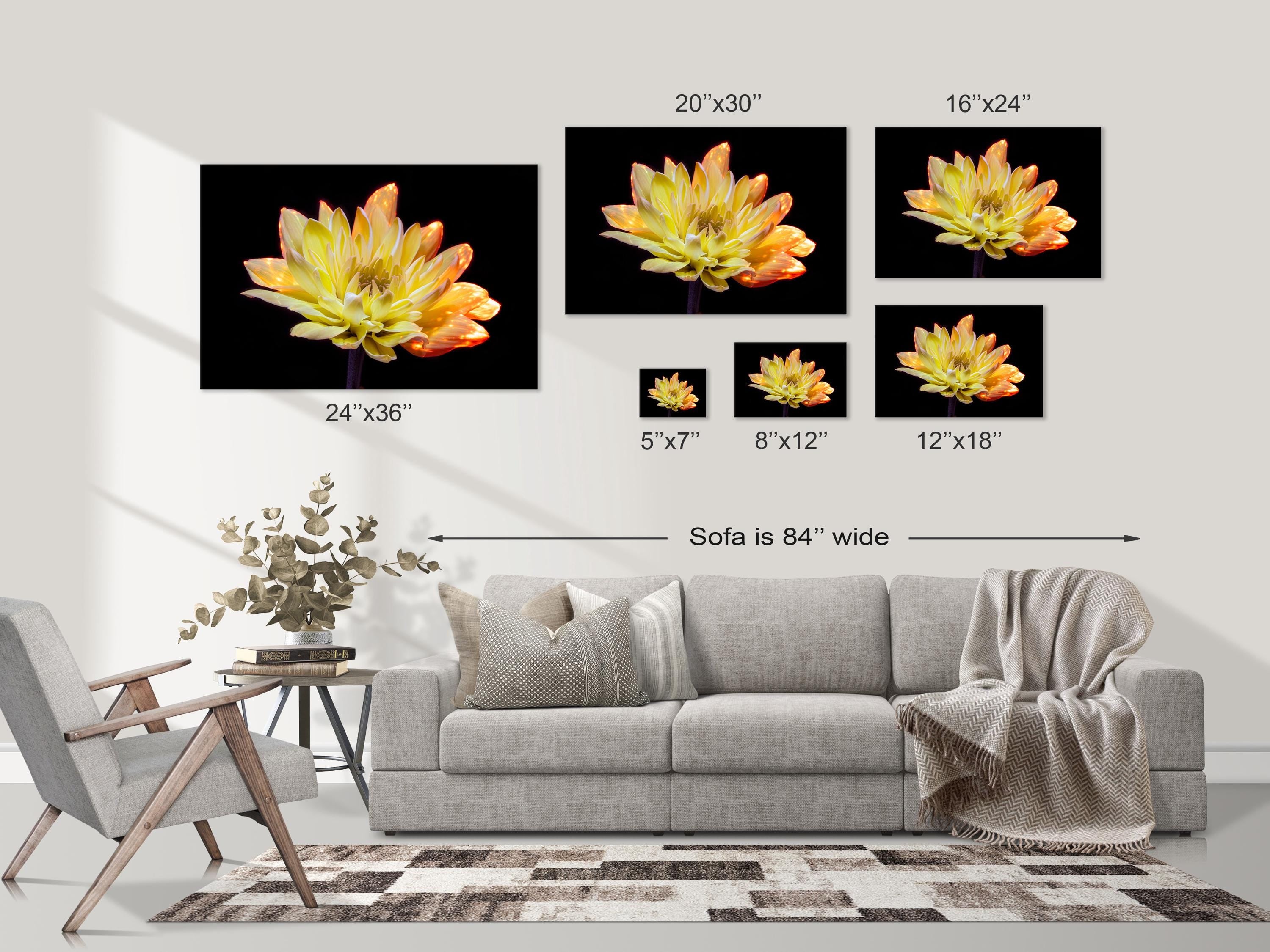 Radiant Yellow Chrysanthemum