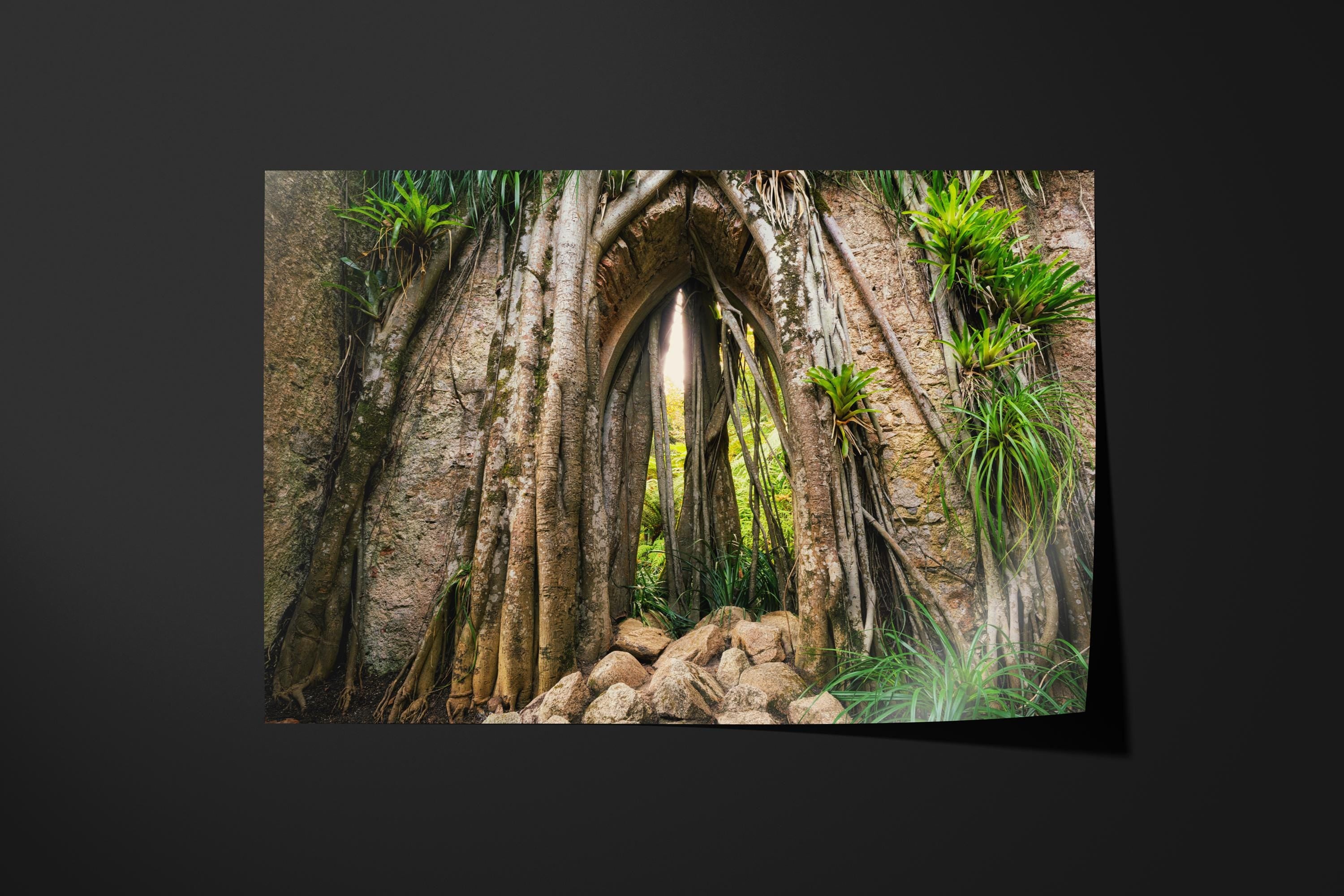 Mystical Forest Archway