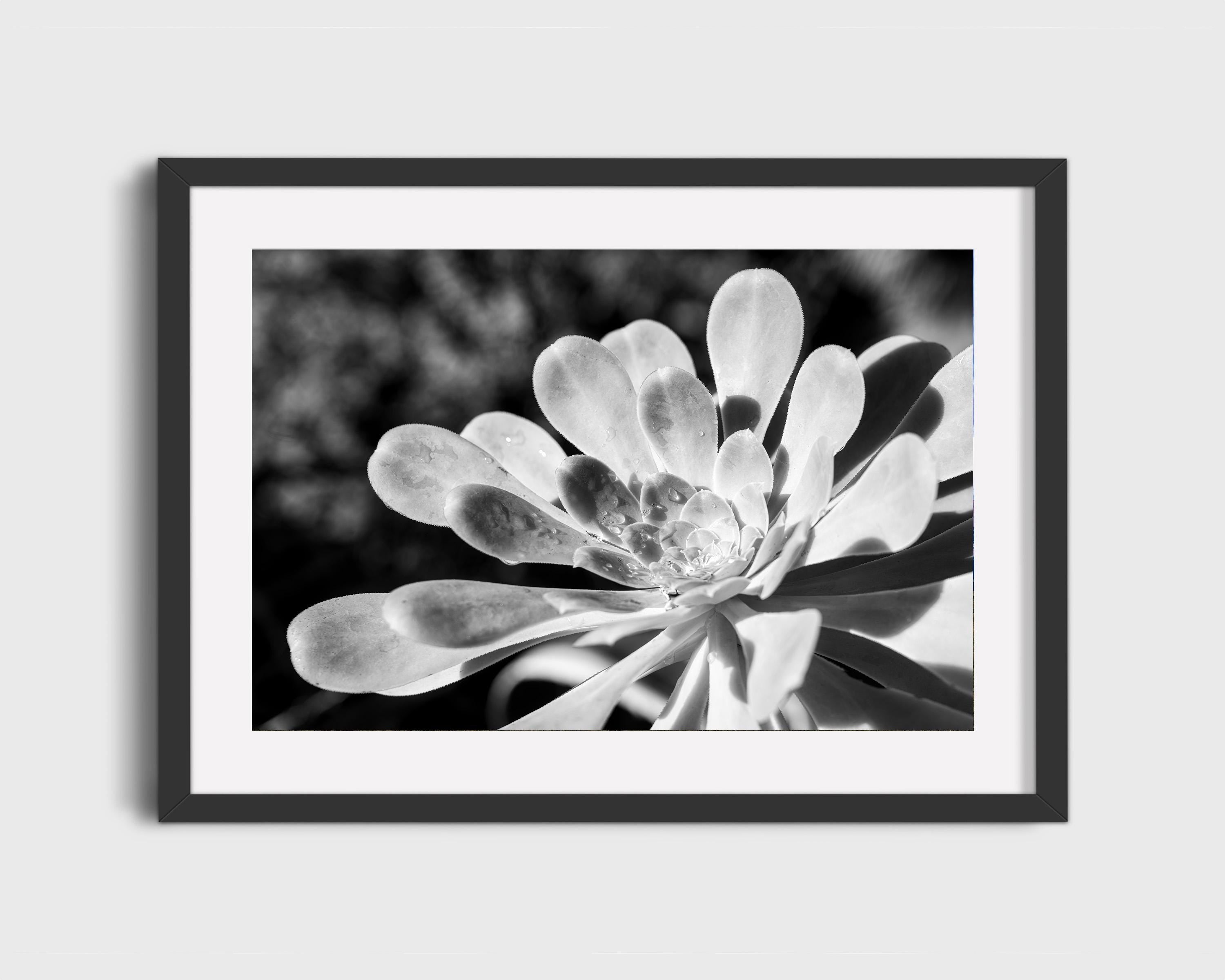 Botanical Flower