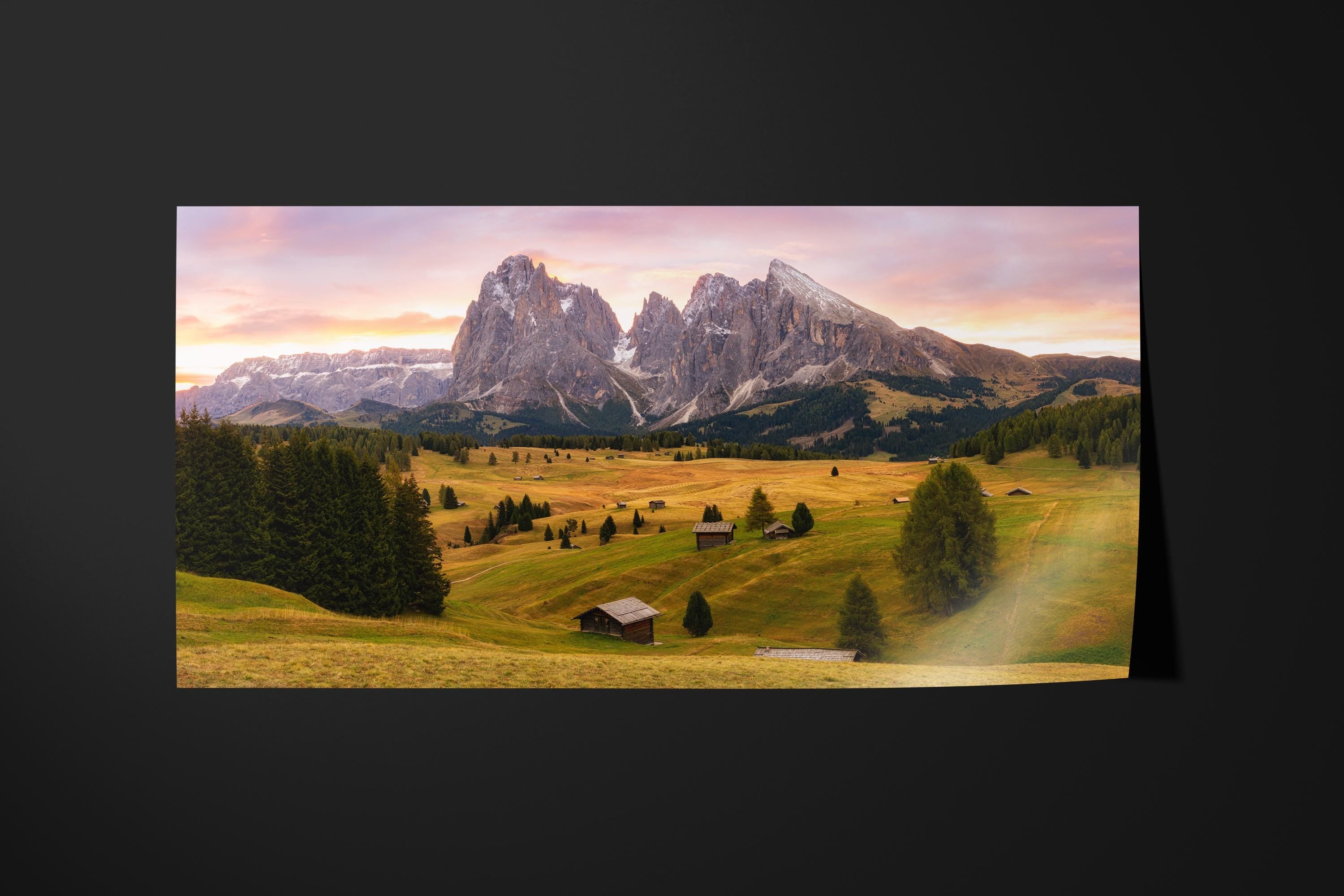 Dolomites Alpine Meadow
