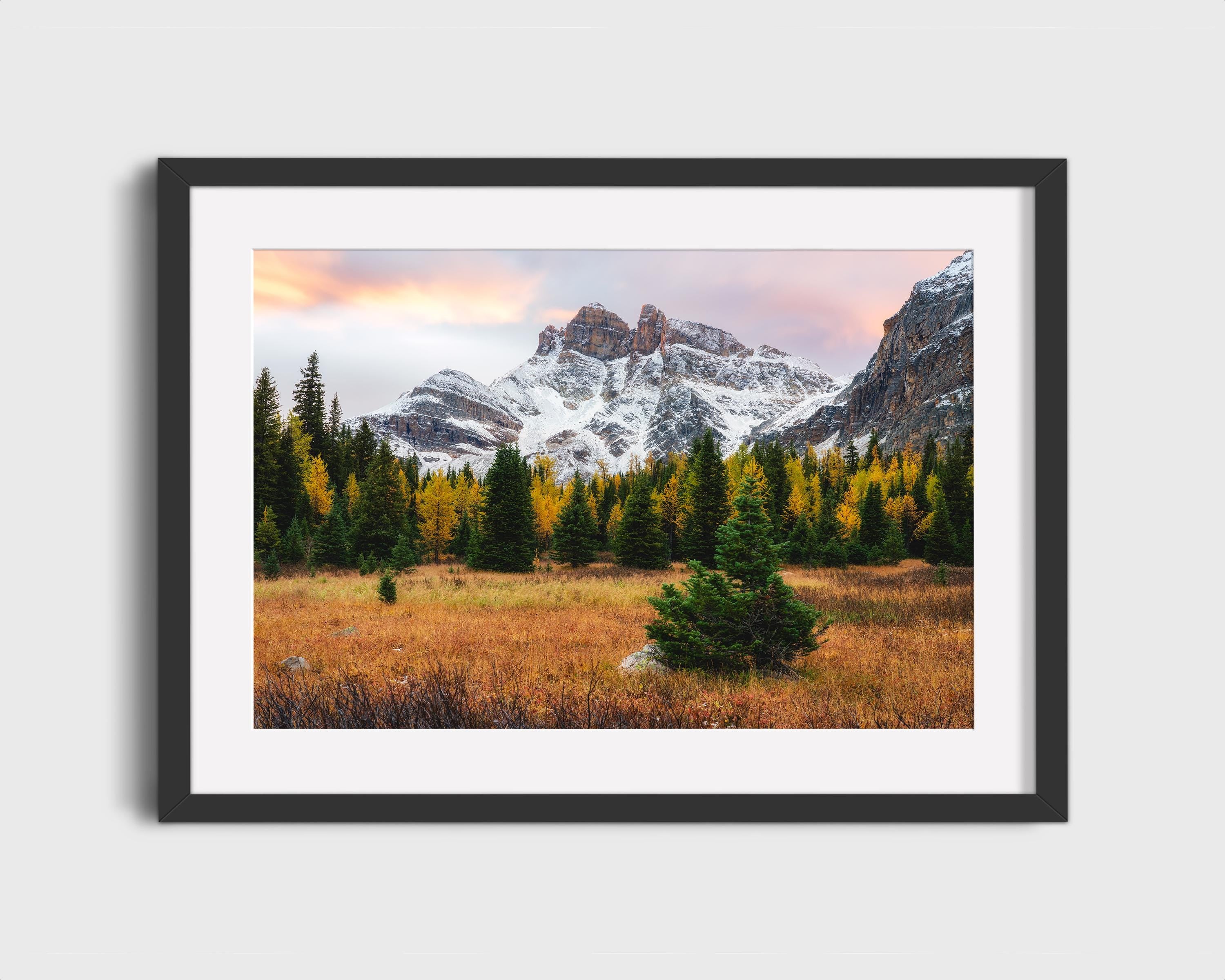 Assiniboine Meadow Sunrise