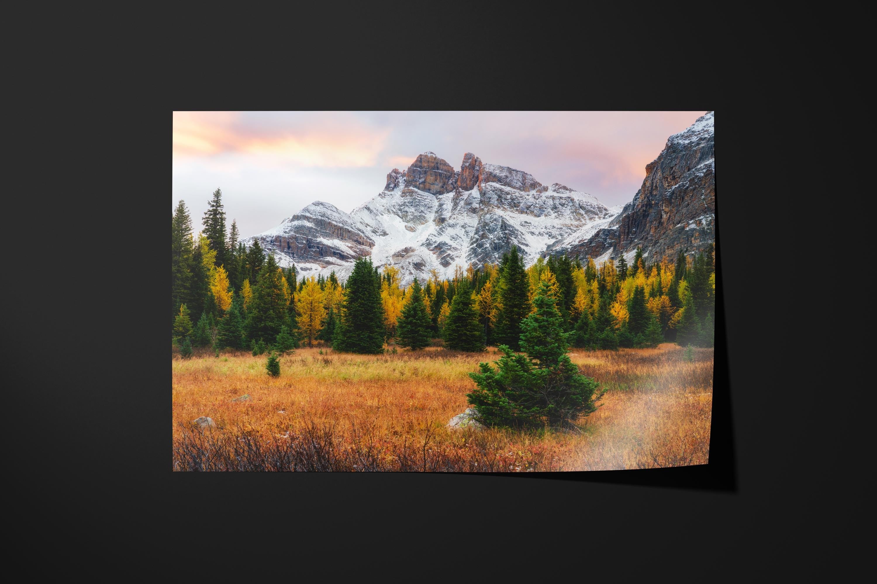 Assiniboine Meadow Sunrise